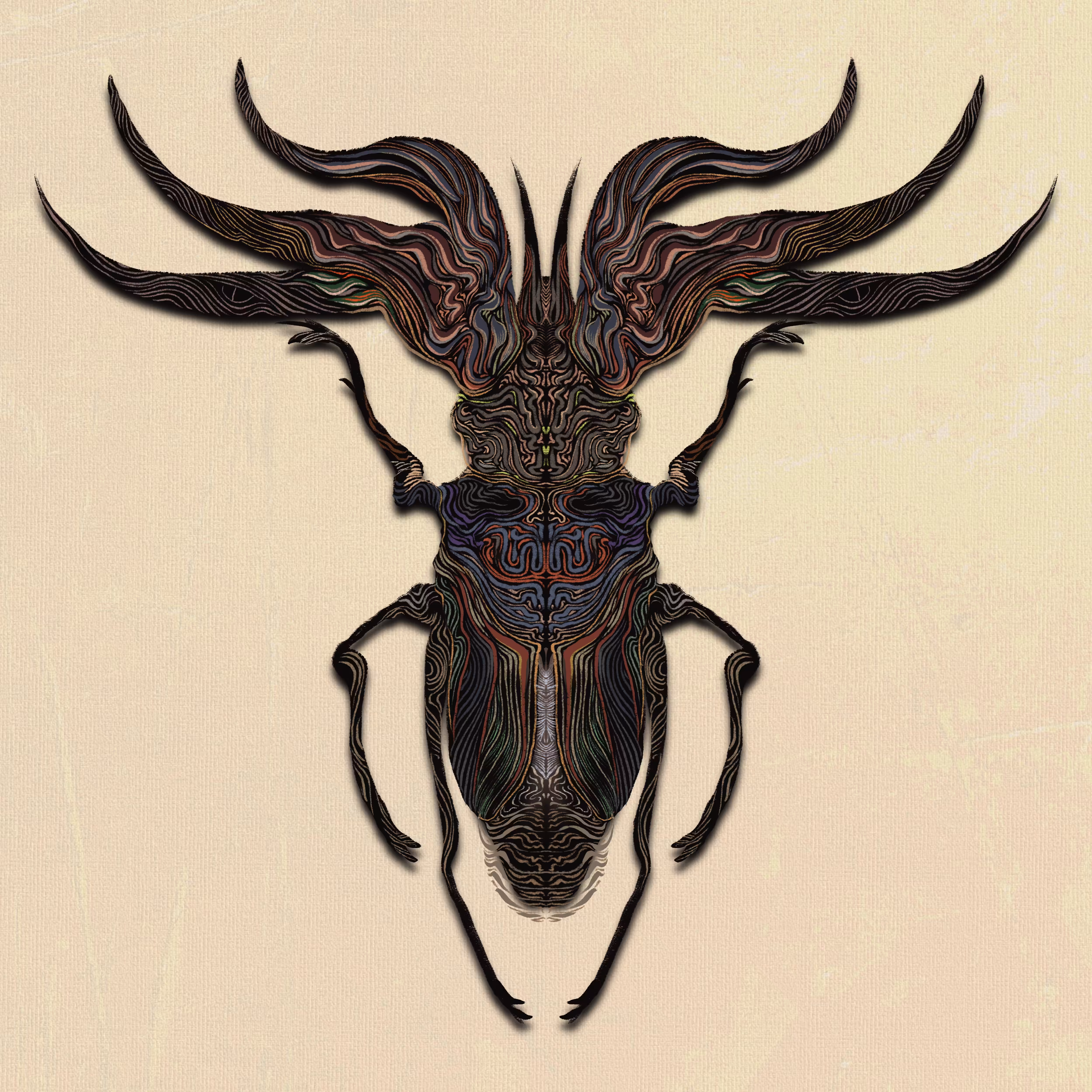 Lucanus Cervus III 