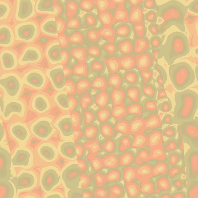 Cellulae #20