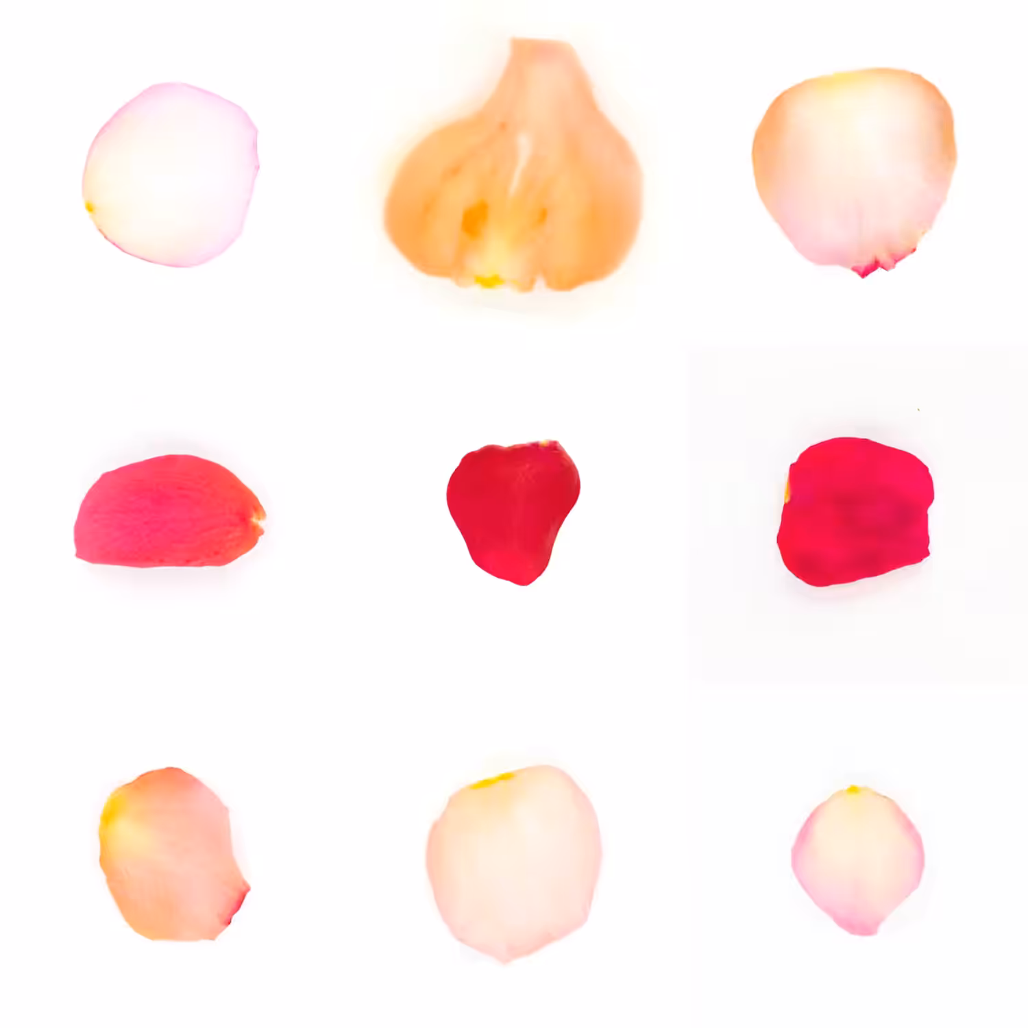 Infinite Petals 3x3#3257