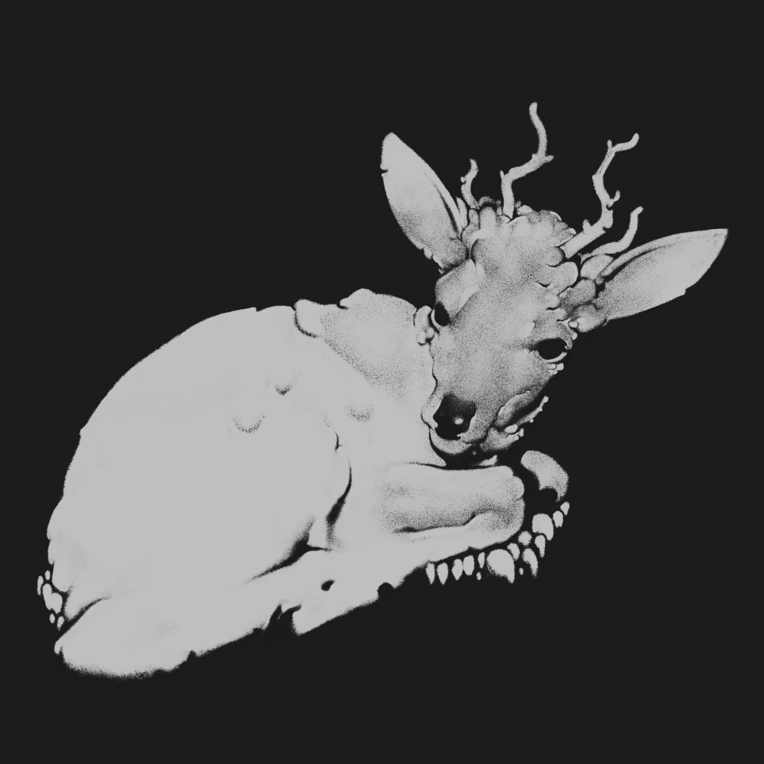 Fawn