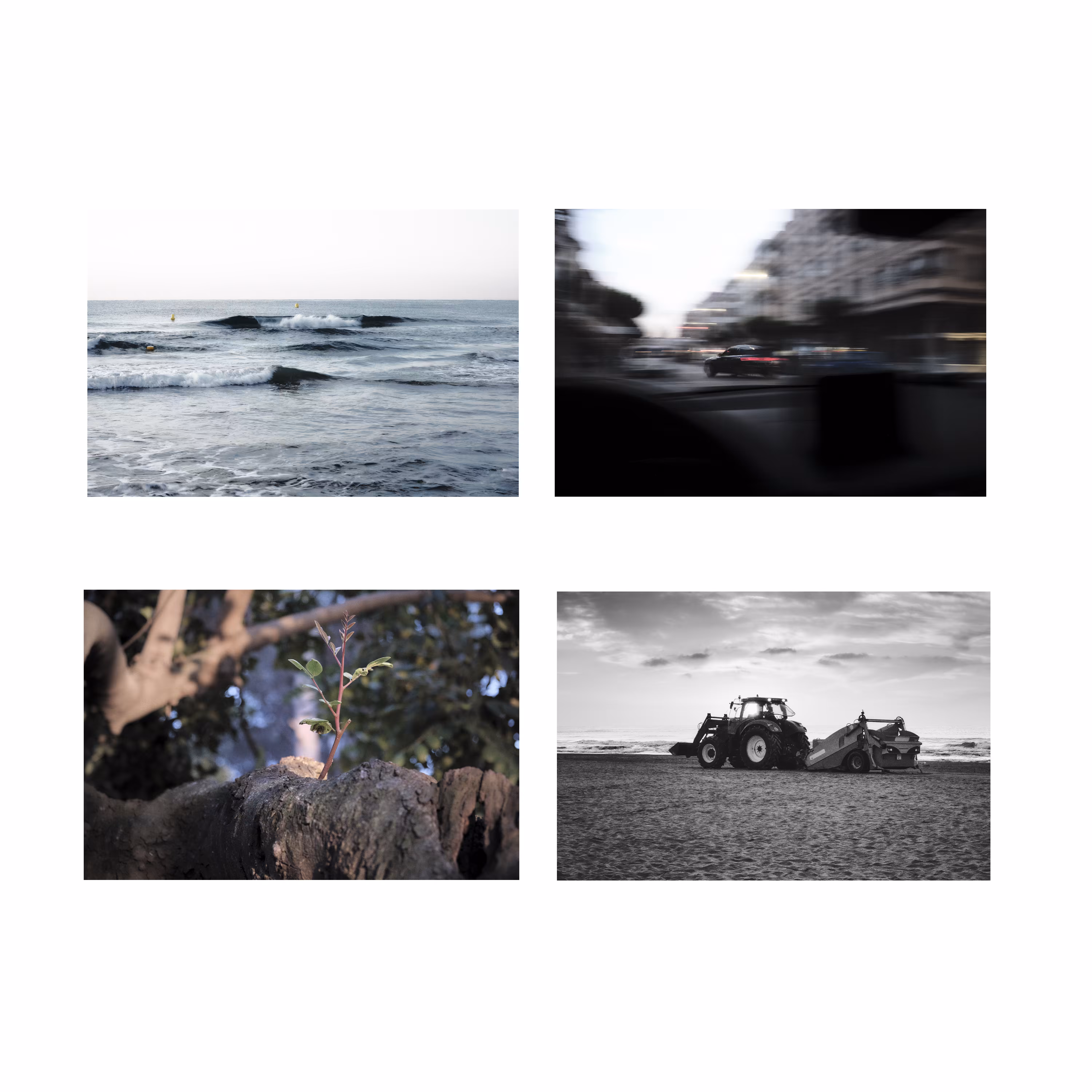 Miscellany (1)