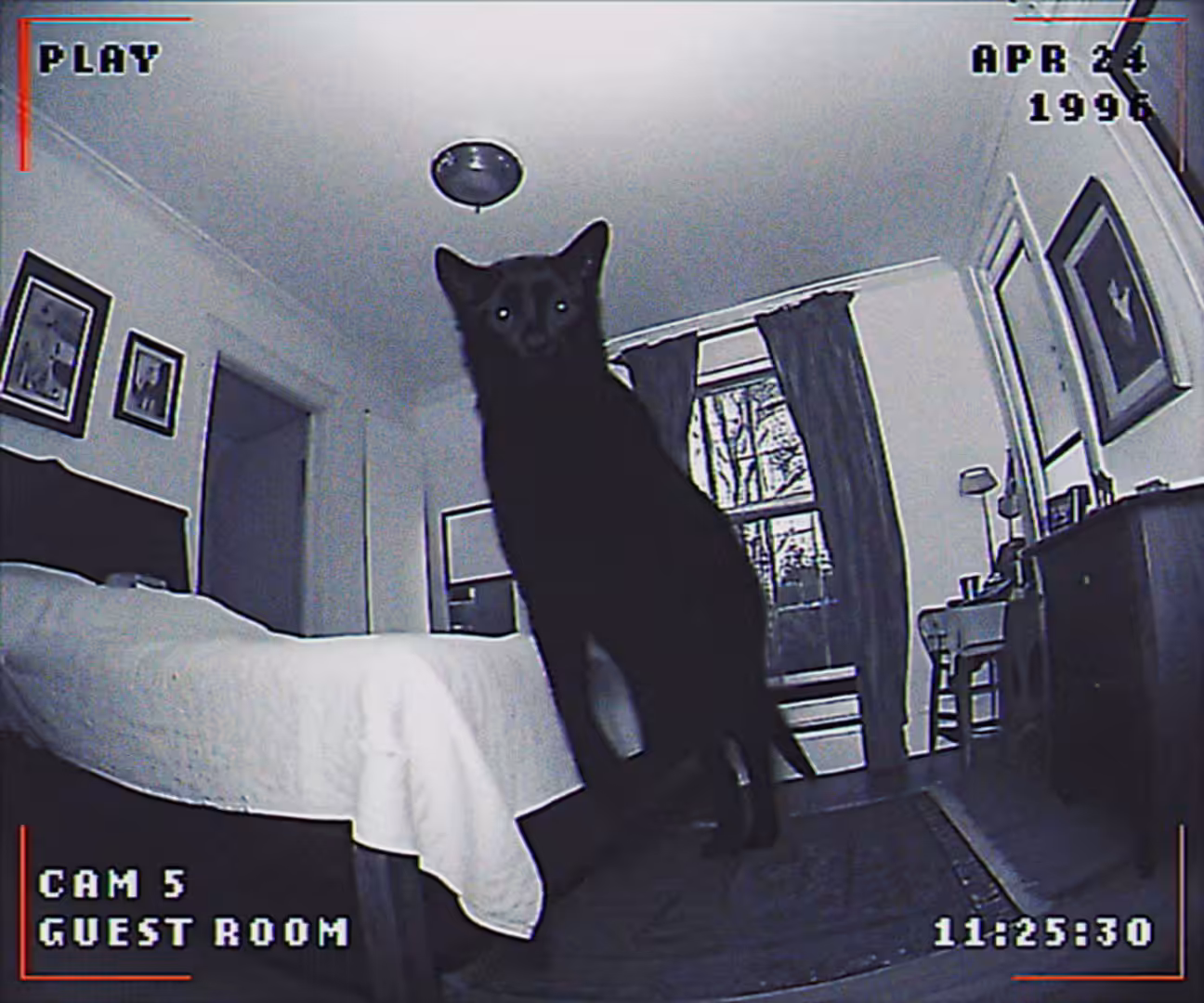 Cam 5: Guest Room