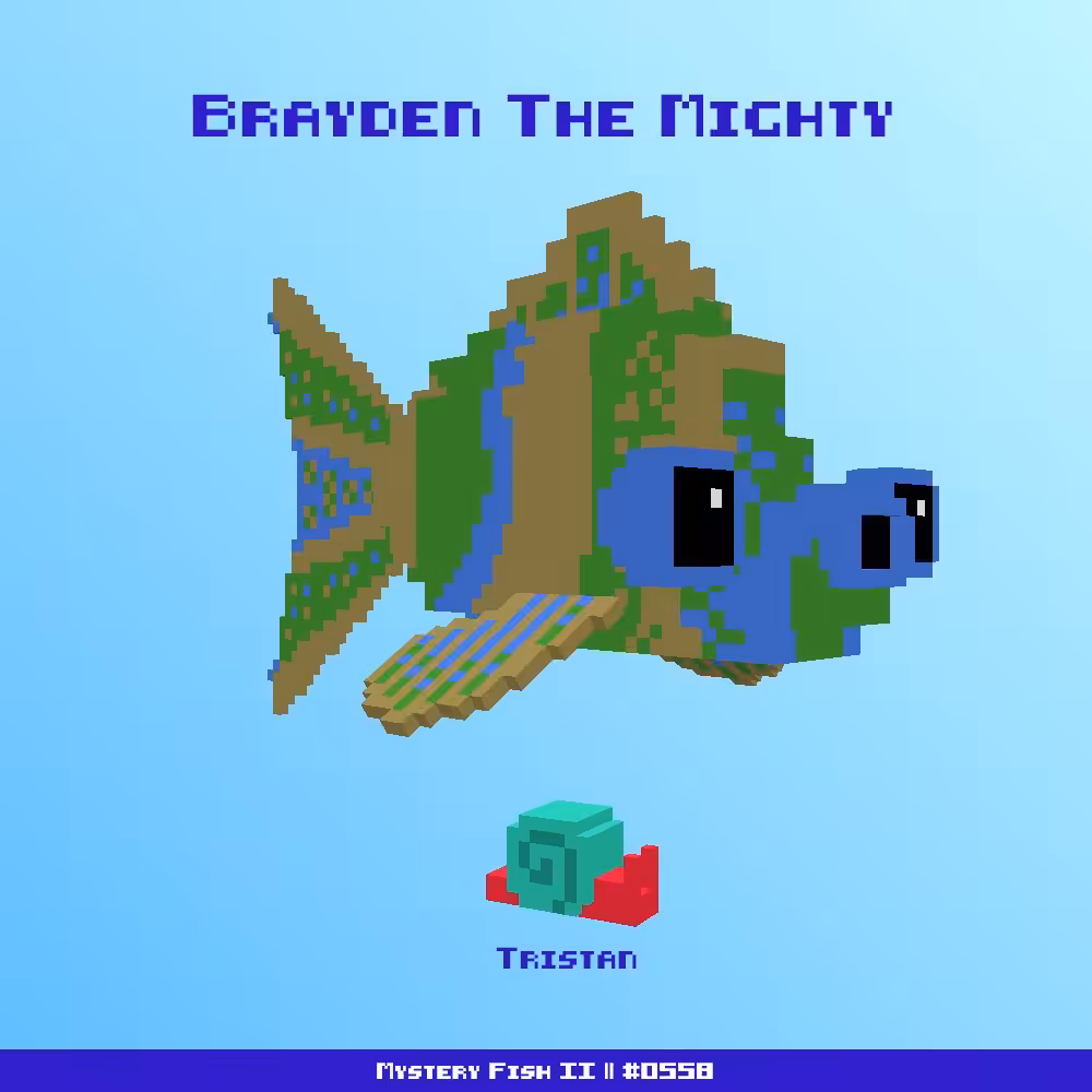 Brayden The Mighty :: Mystery Fish 0558/1000