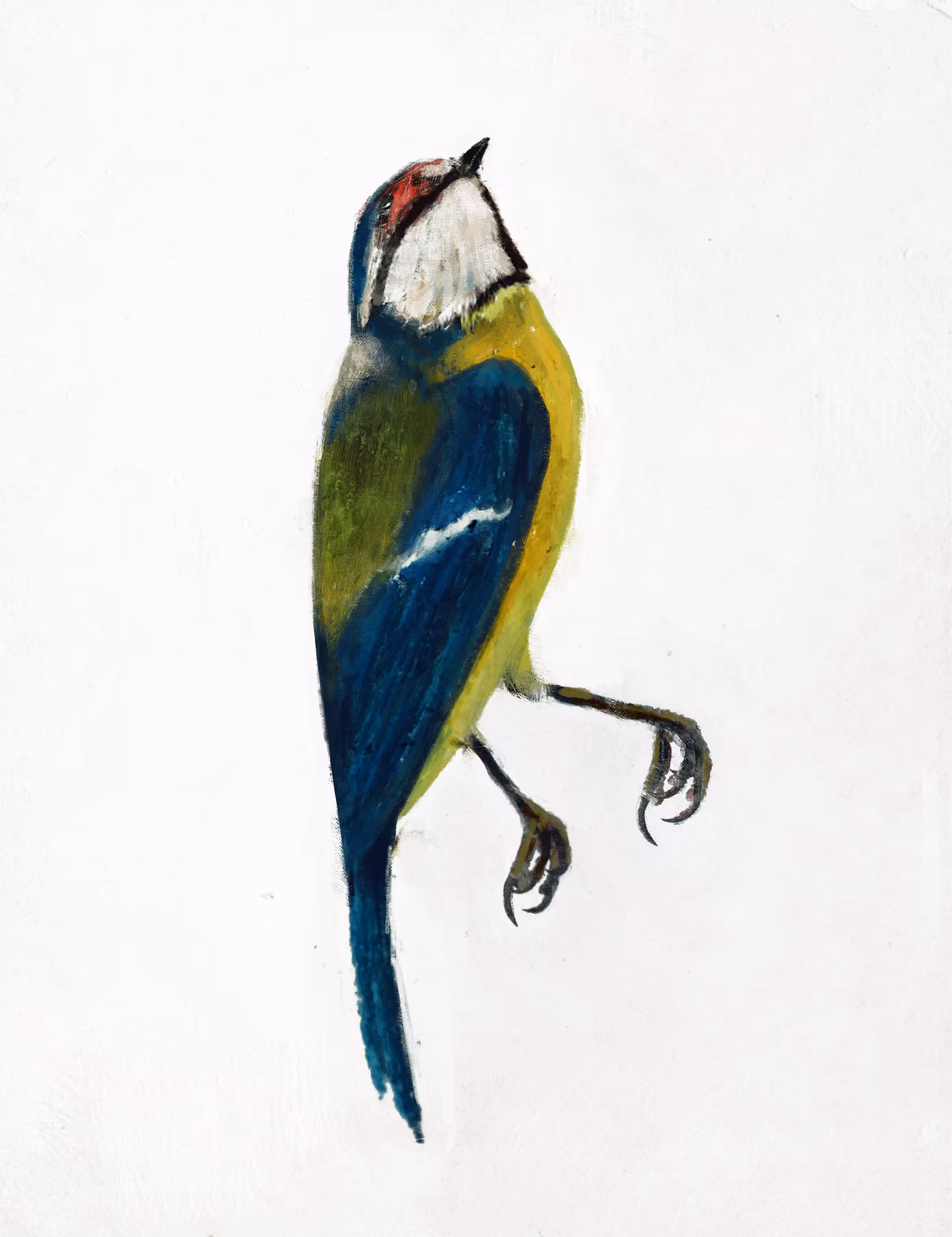 Birds of Mariupol