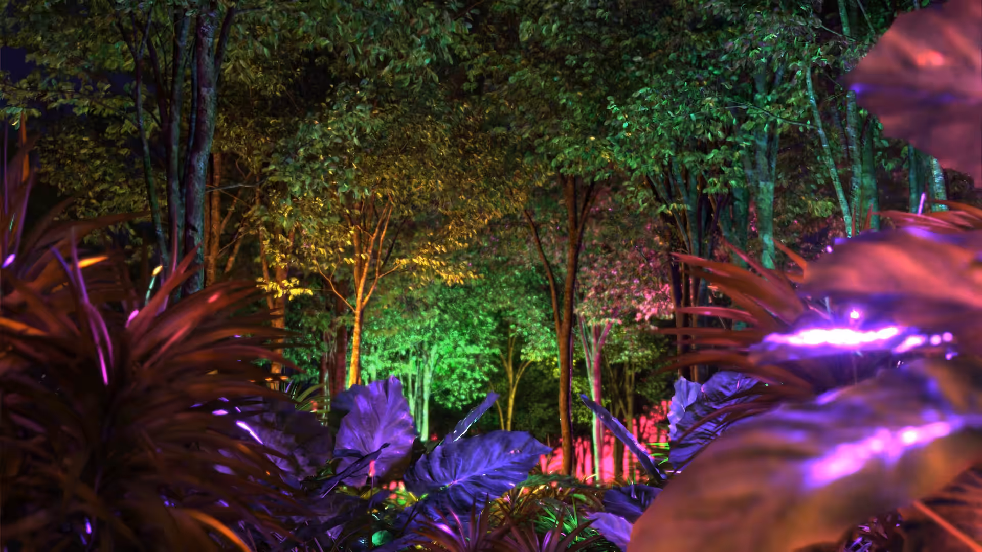 Jungle Run