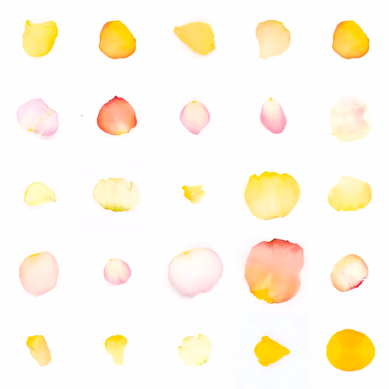 Infinite Petals 5x5#20081