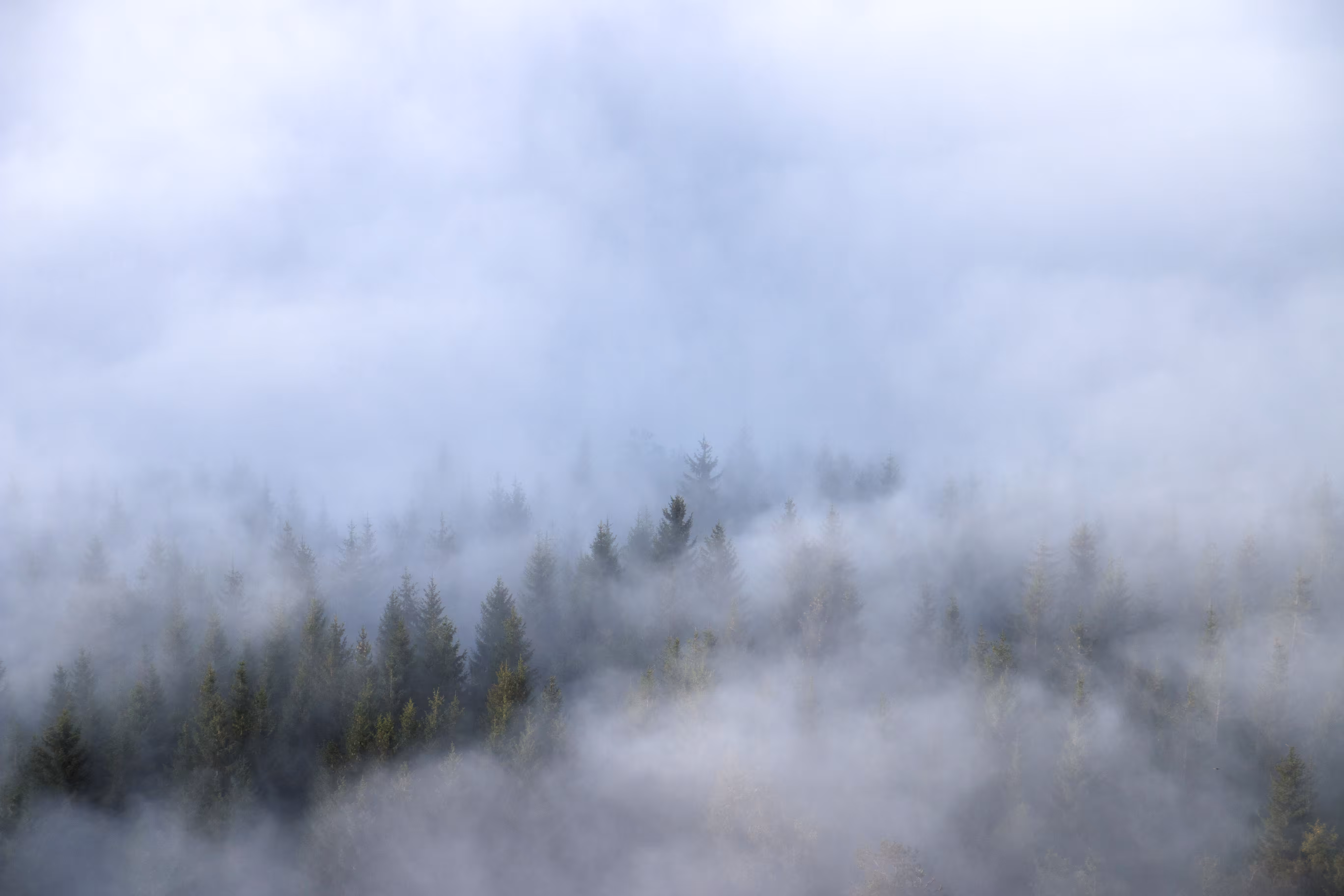 Dream Sky