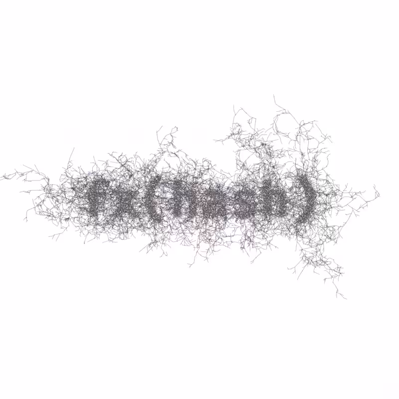 FXHASH Logo with Features #461