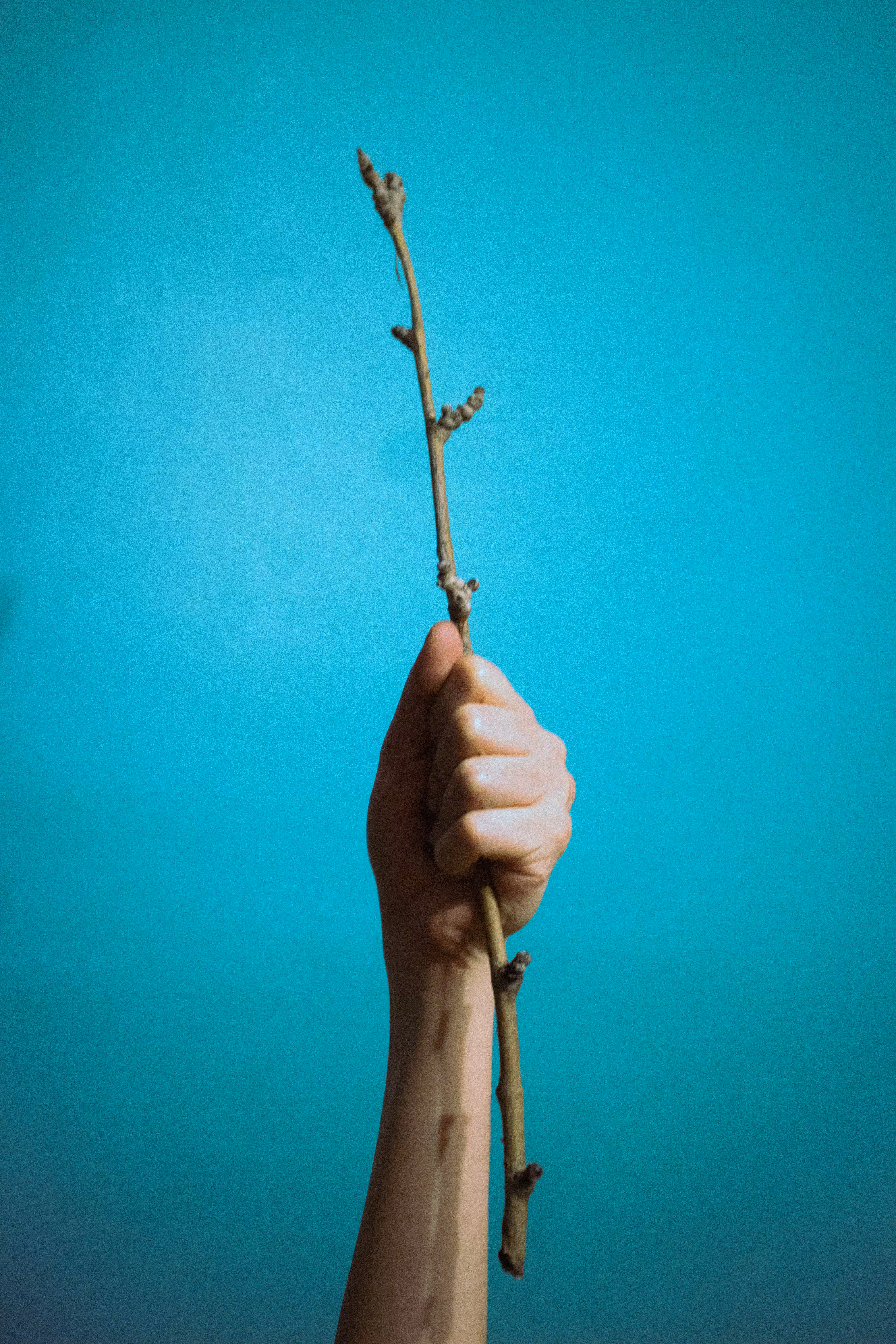 Forgotten root