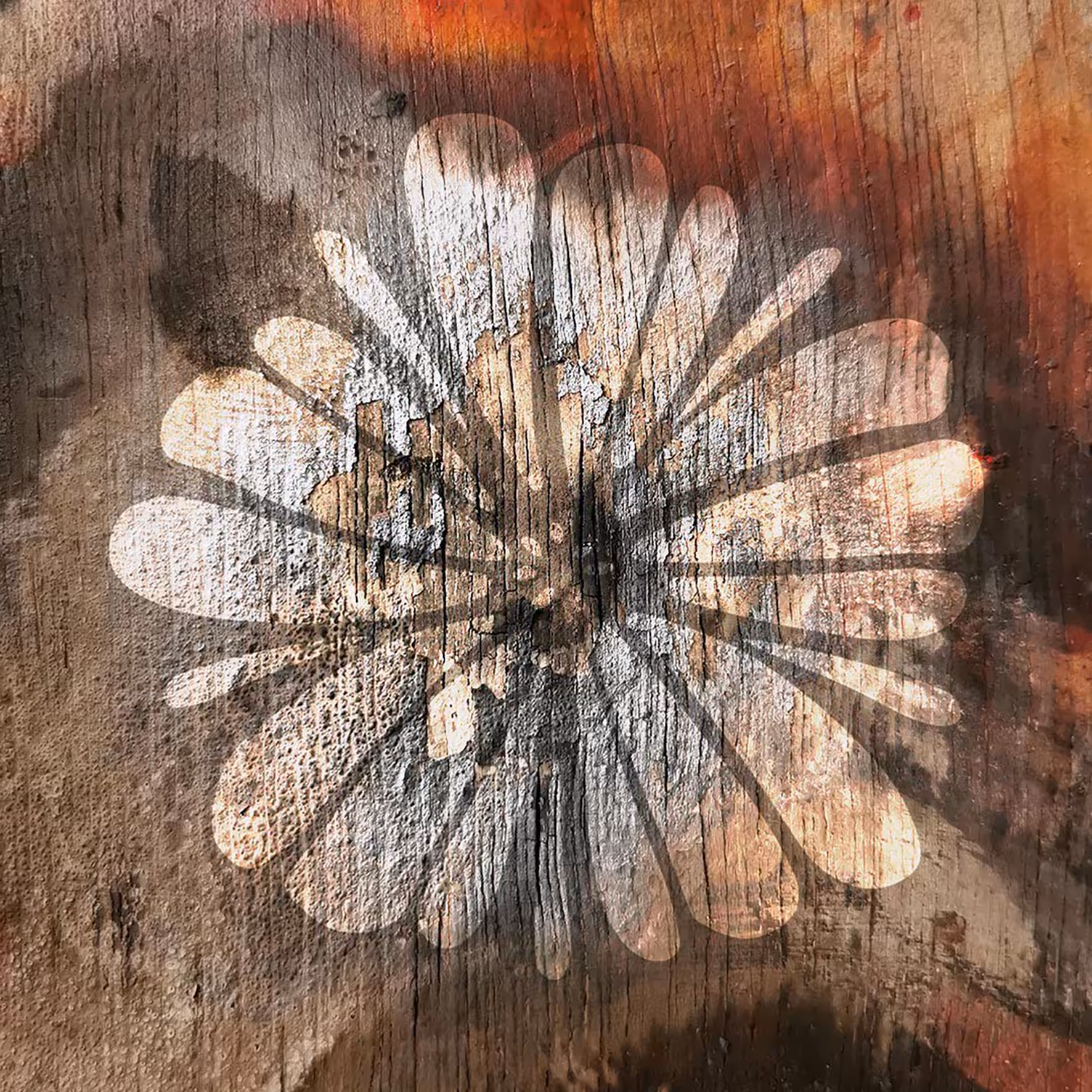Fire Flora #2
