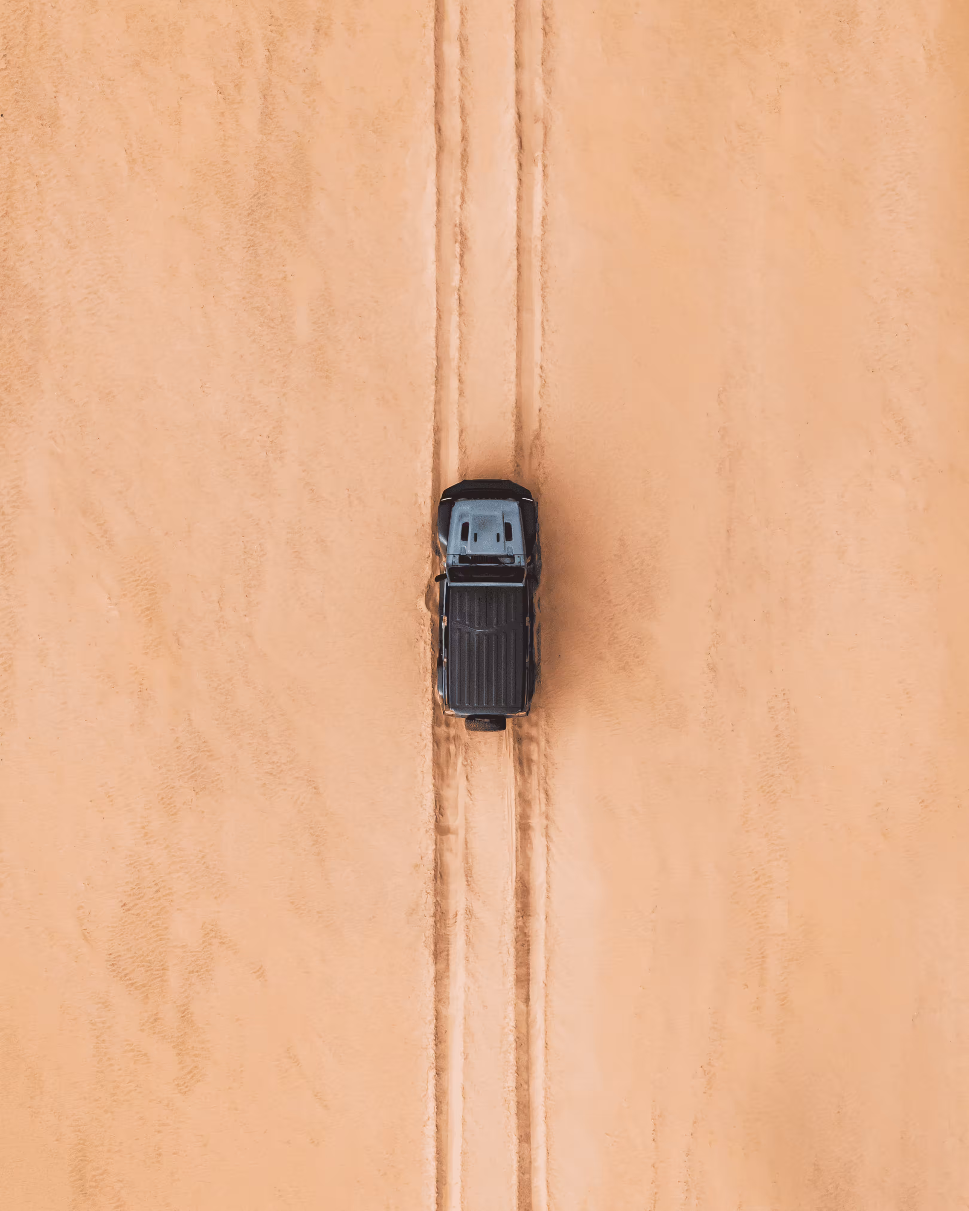 #29. Passenger