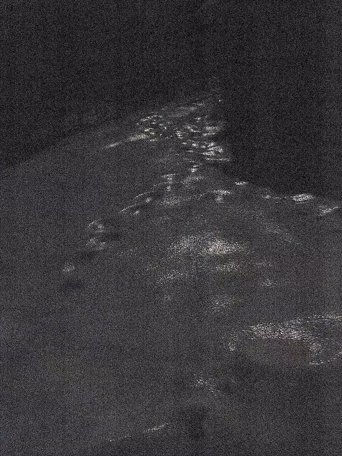 night tracks