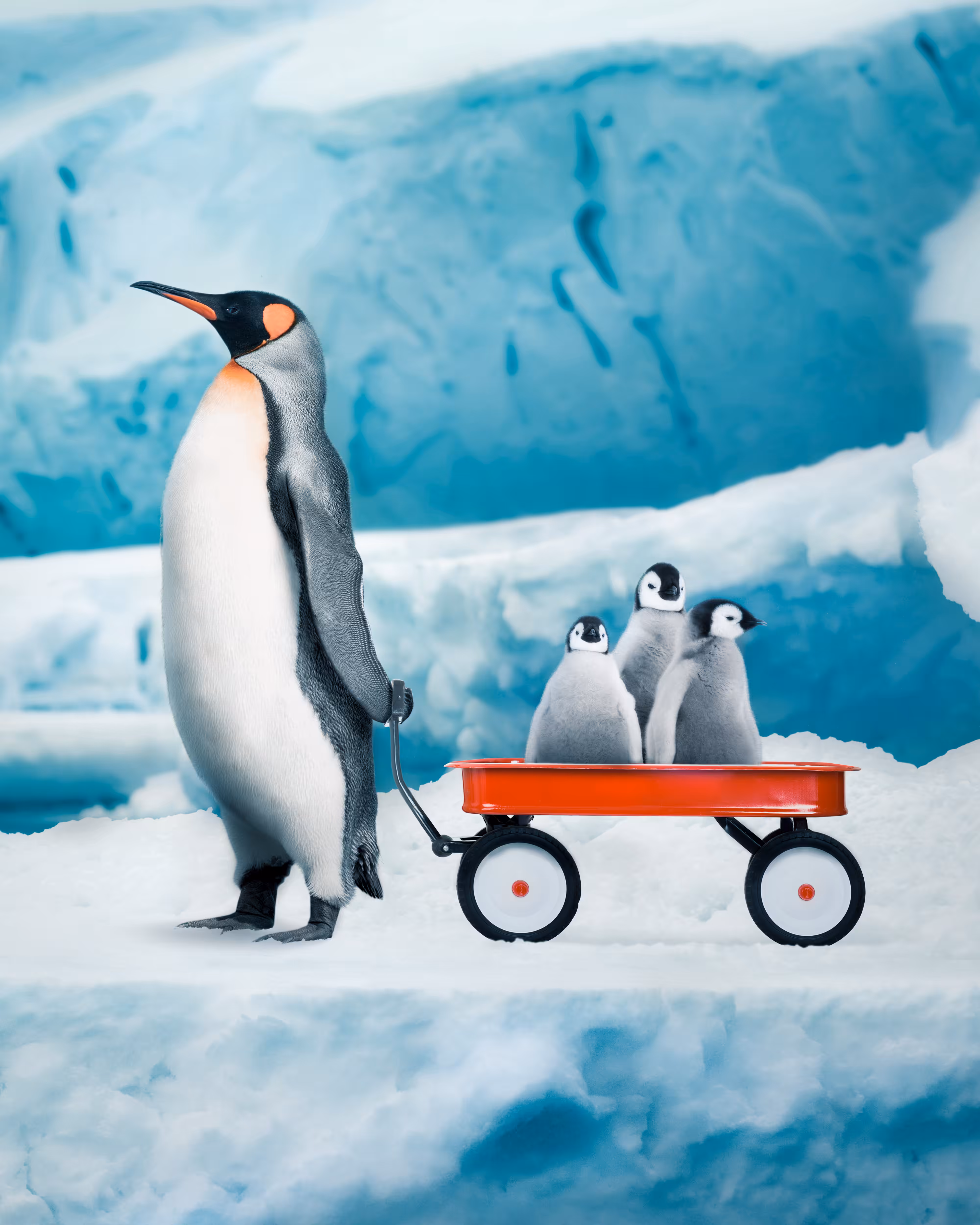 Waddle Wagon