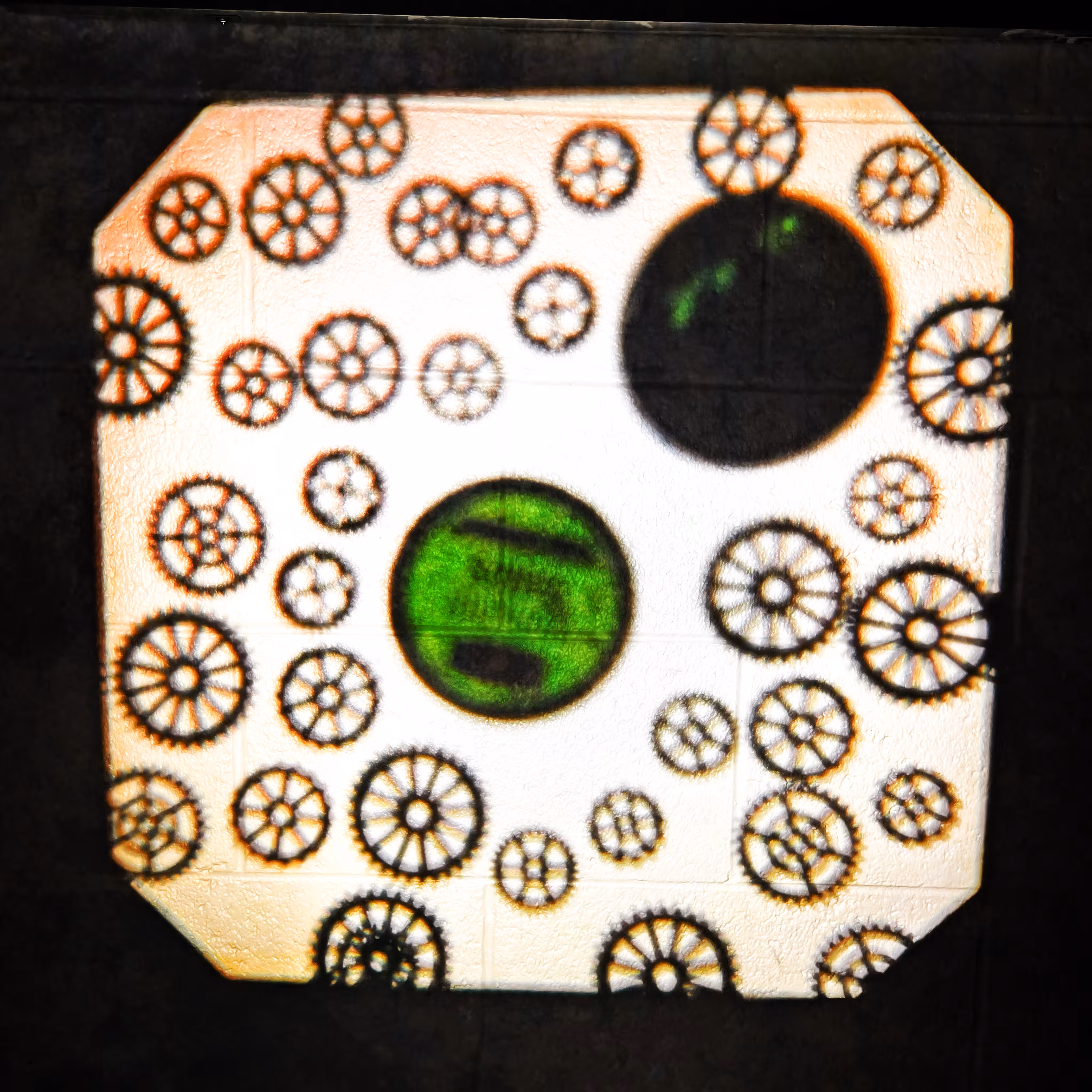 projections_010