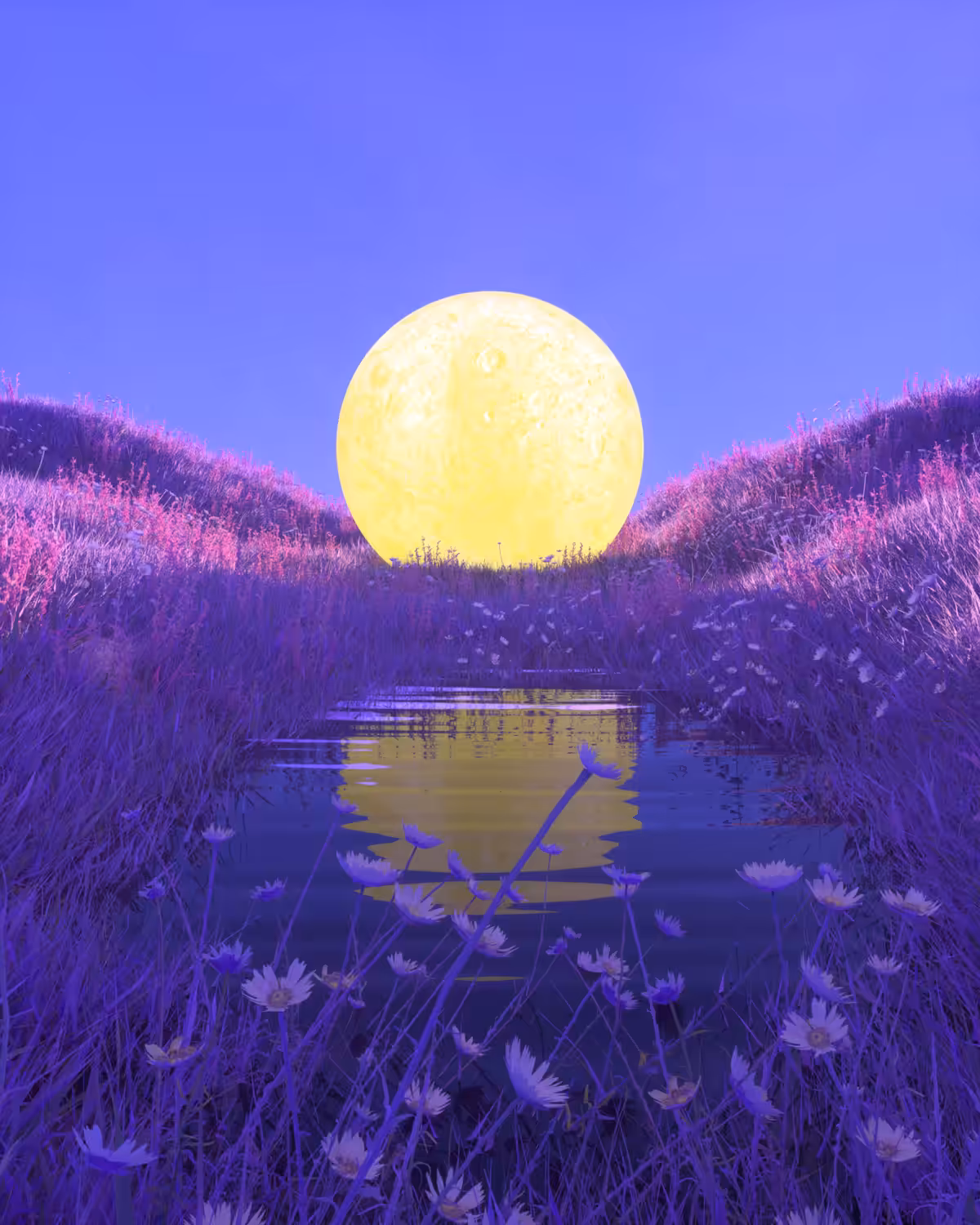 Land #4