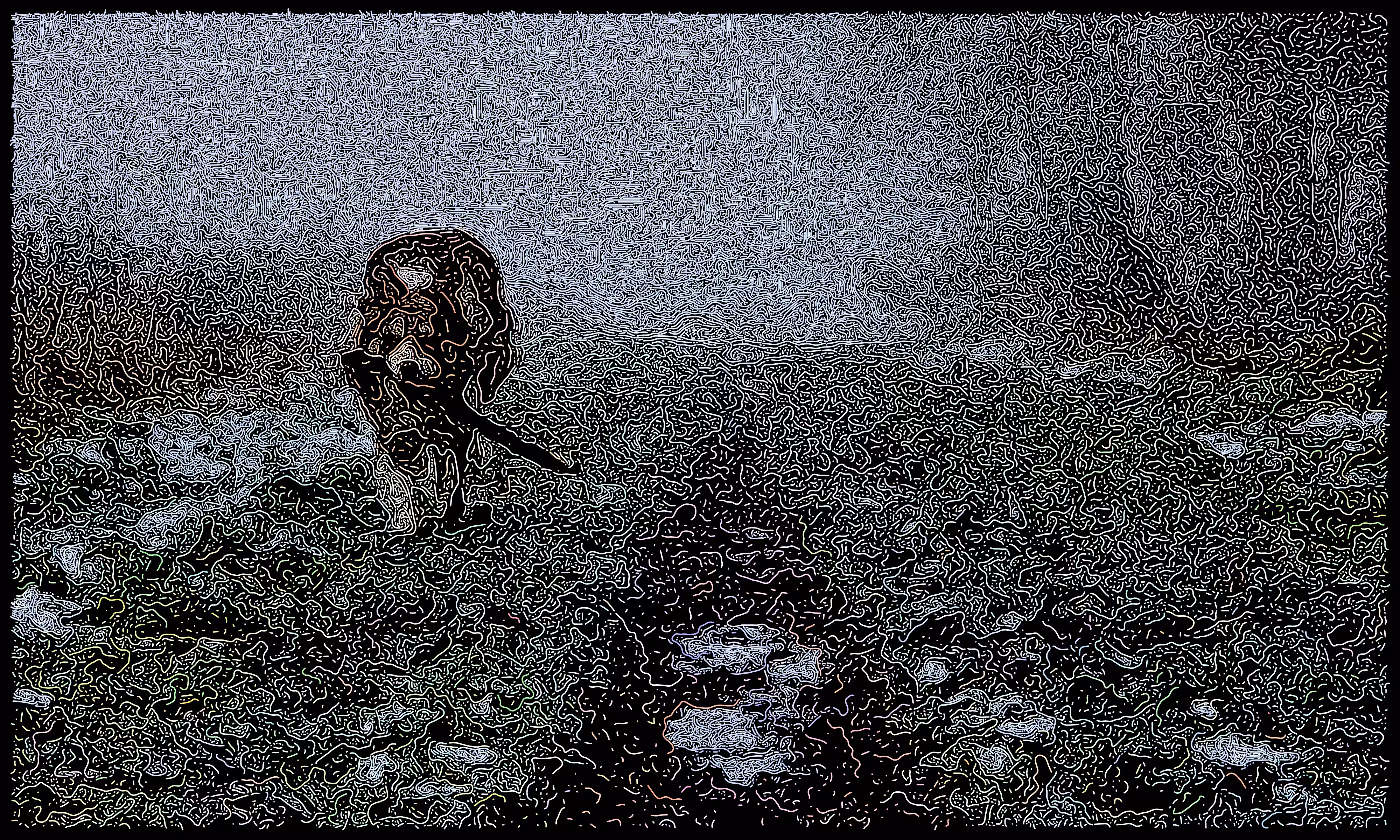 A Misty Morning Walk