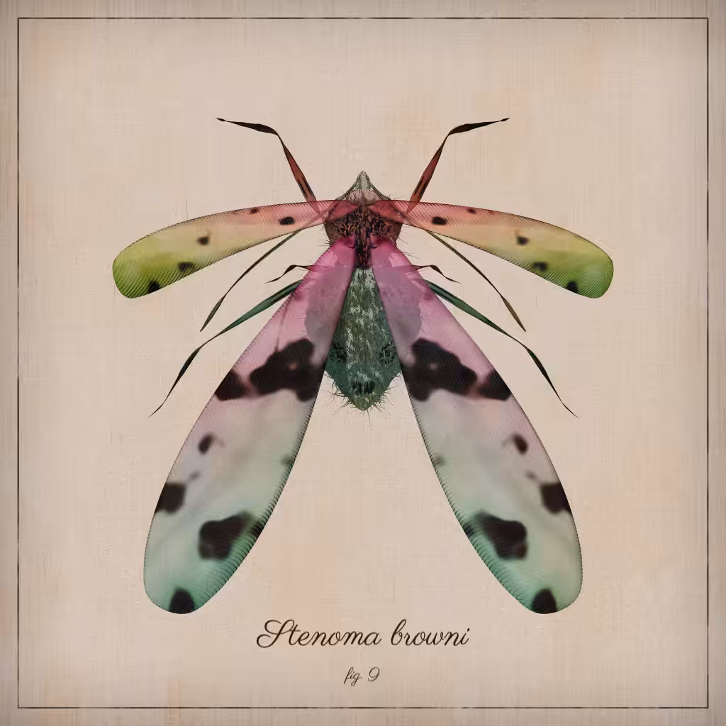 ProcGen Entomology #23