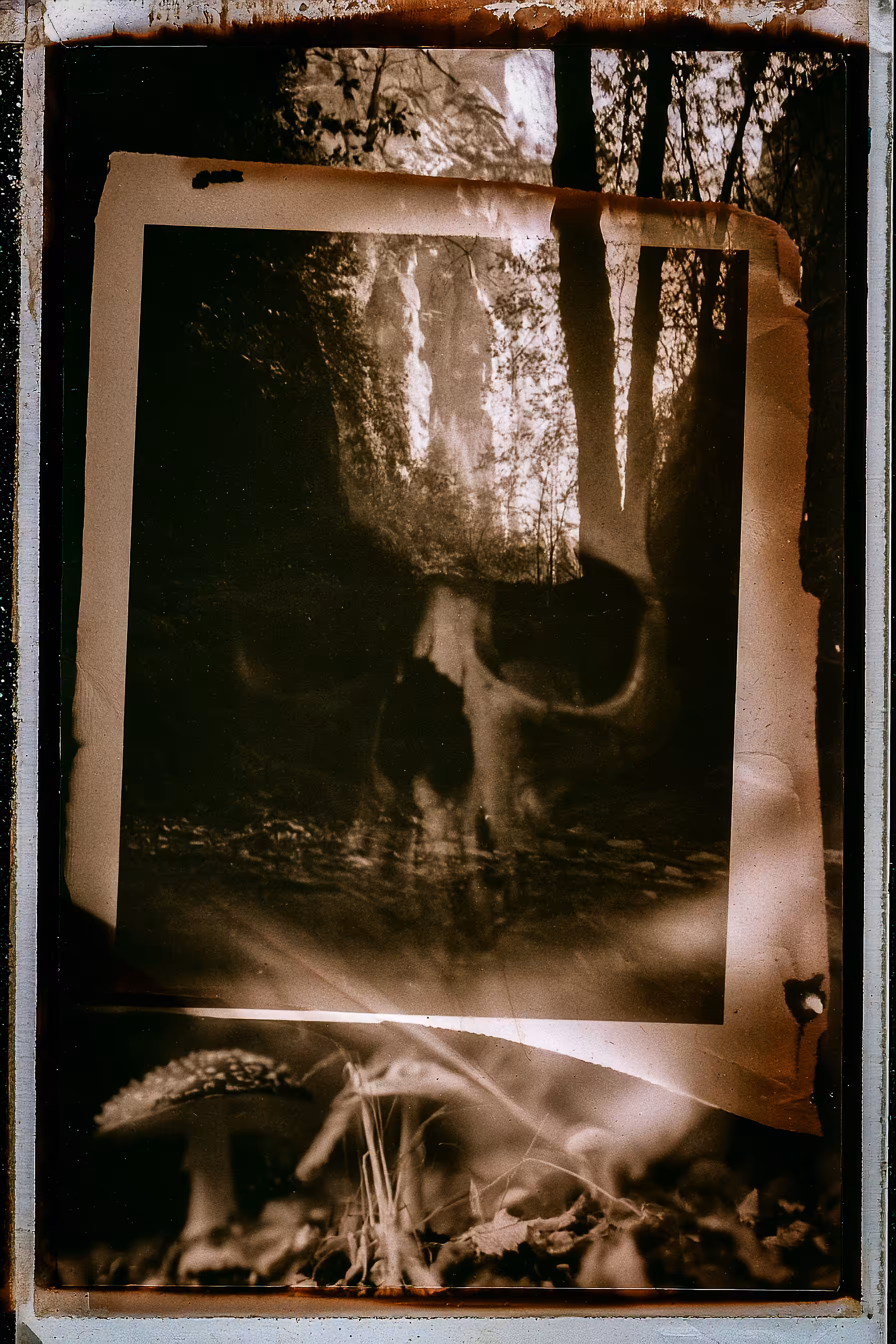 The Archive Below
