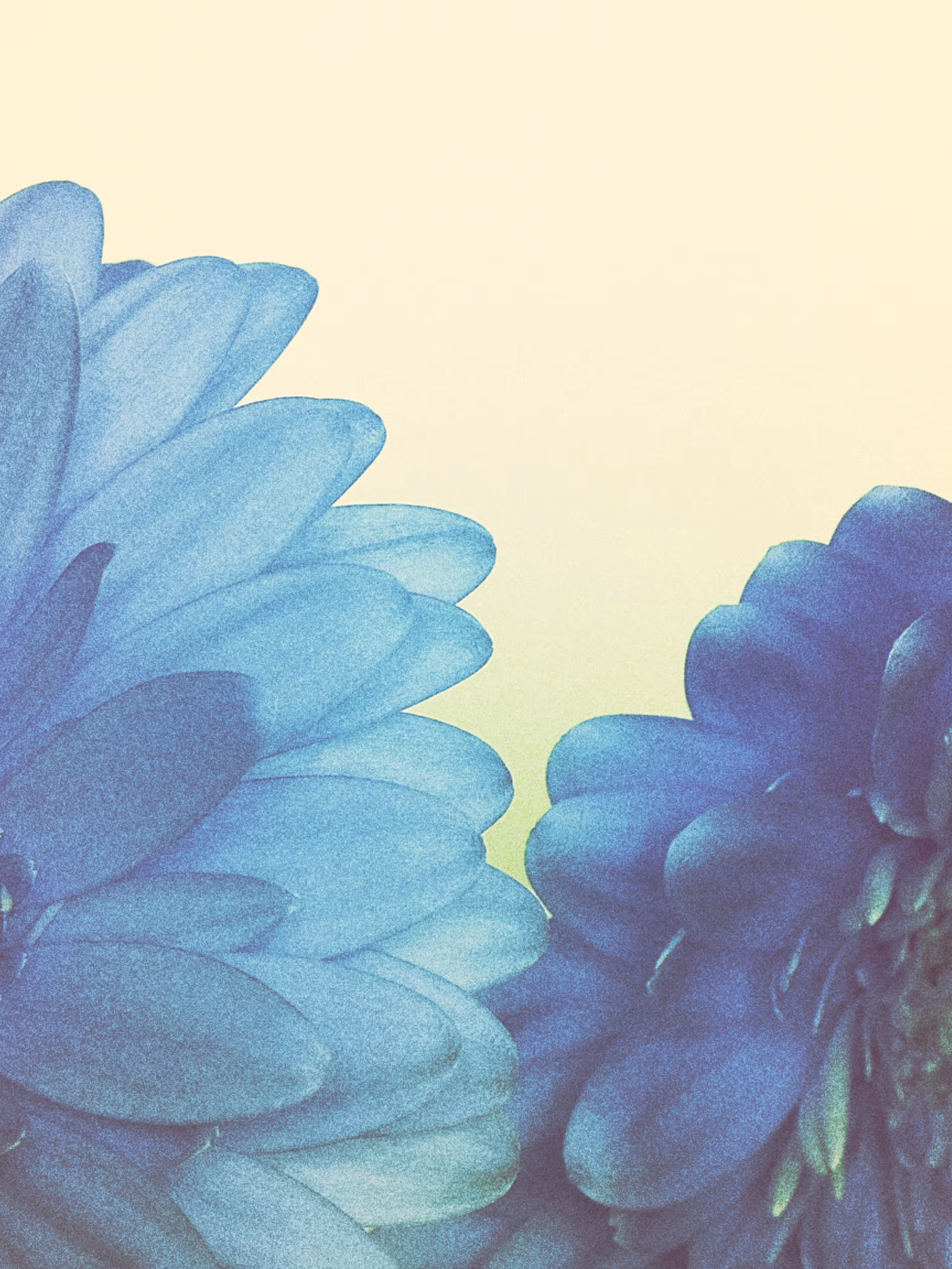 Rodeo post #545: stay with me