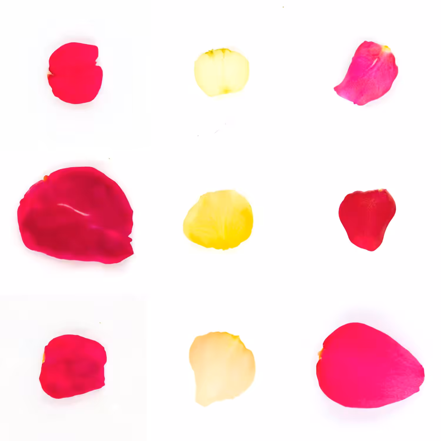 Infinite Petals 3x3#3220
