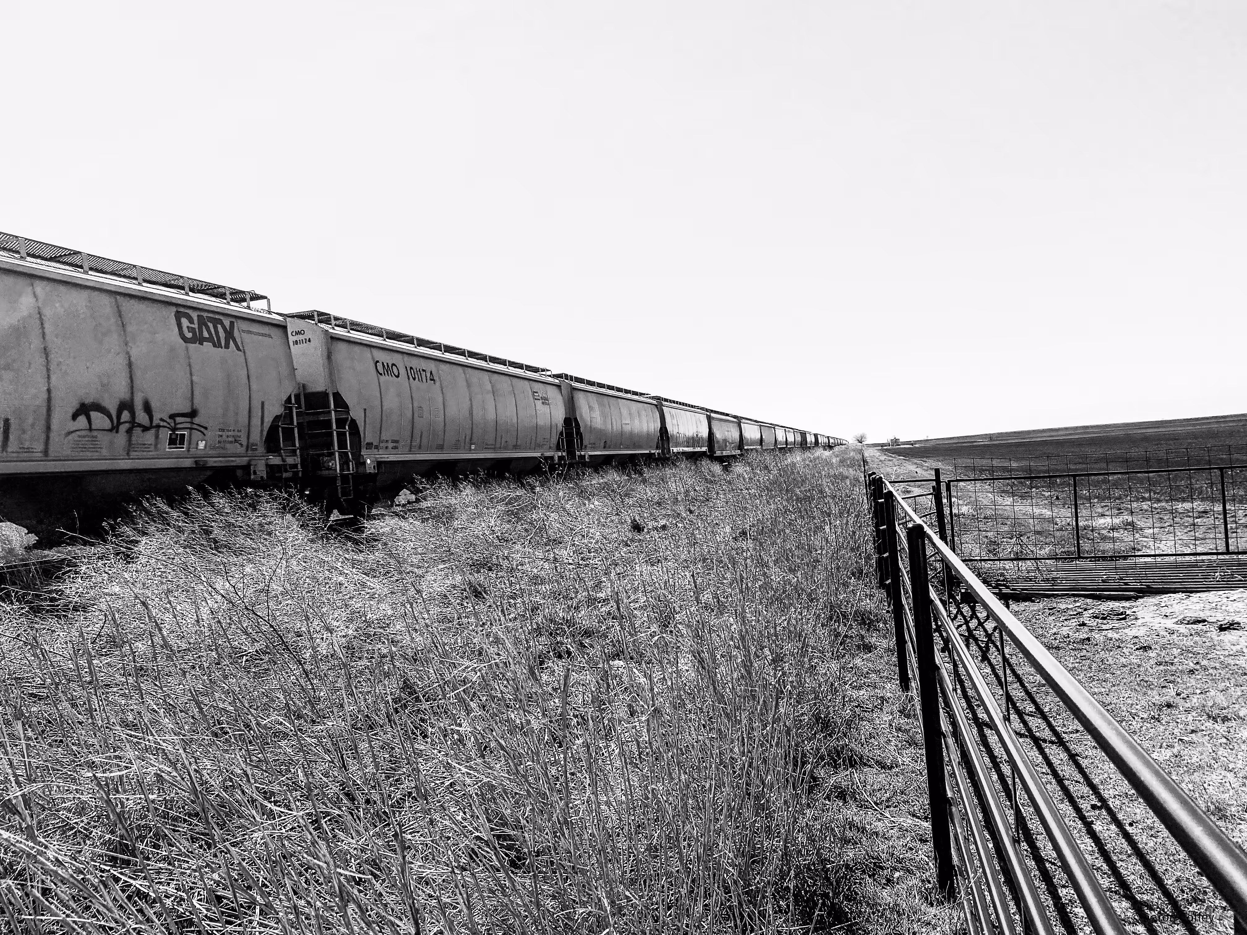 Rail Runner