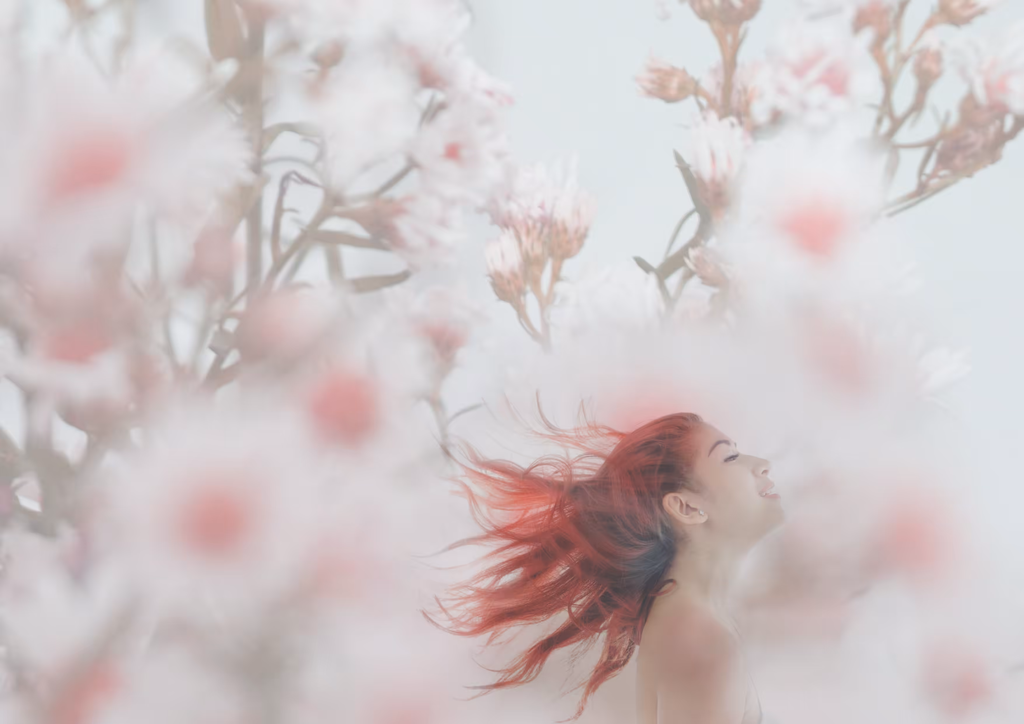 Summer Rise