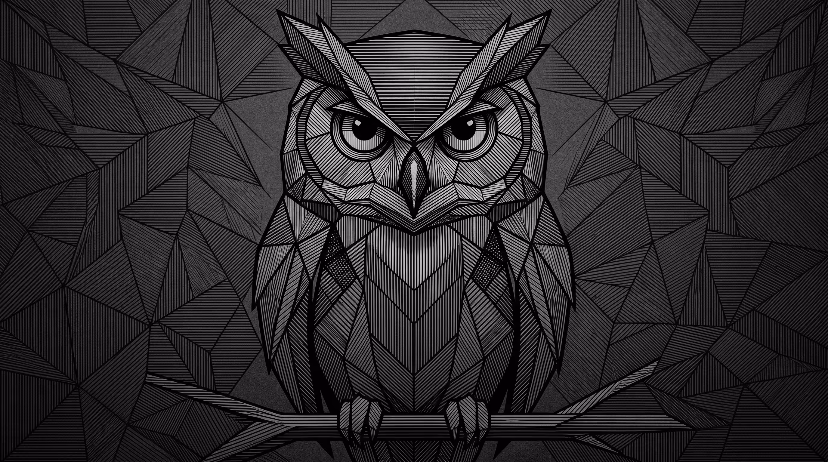 wise owl 
