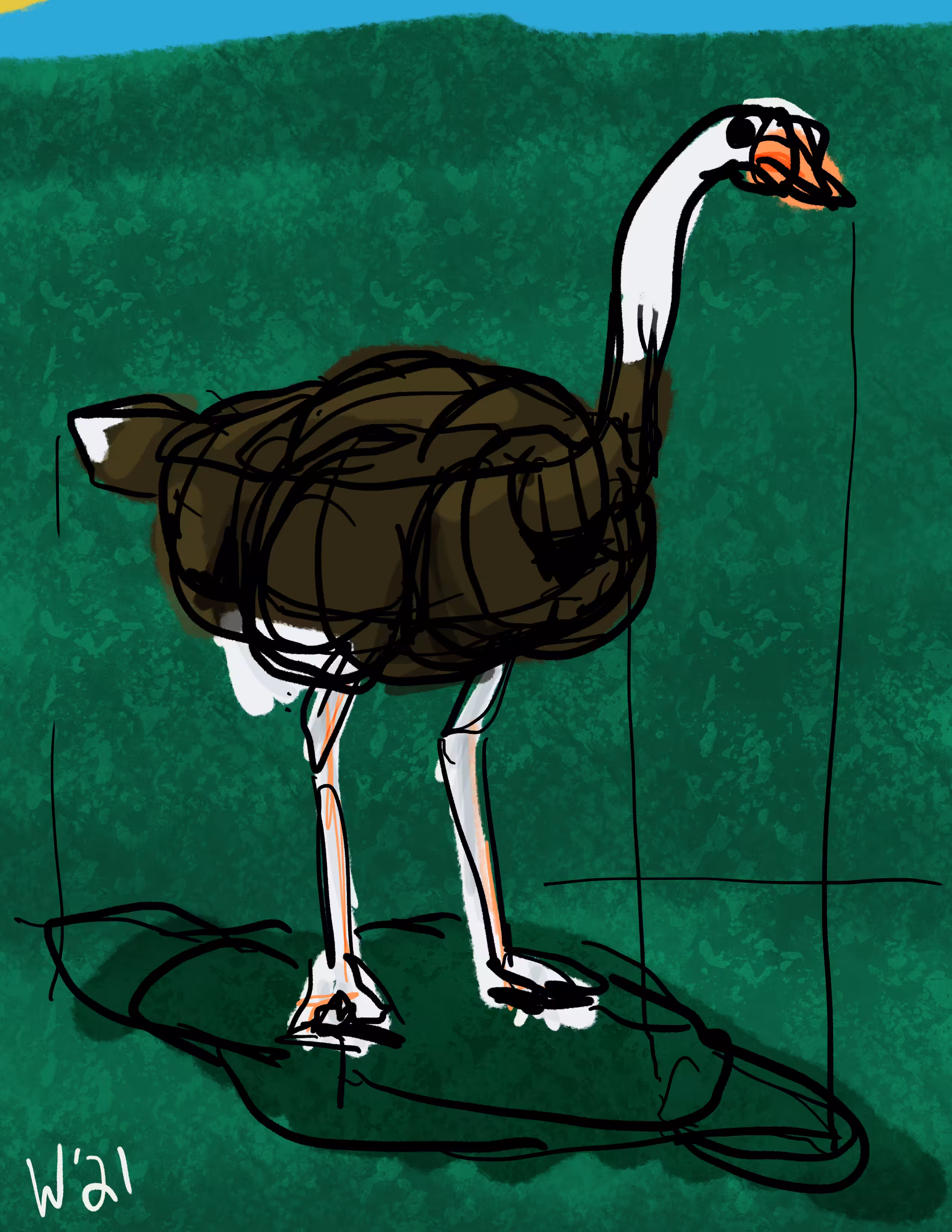 Ostrich