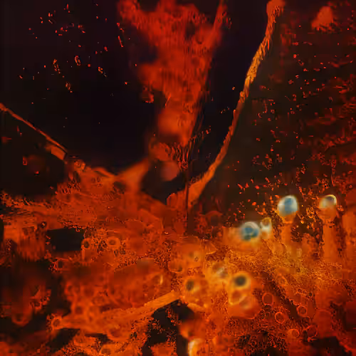 Molecular Atlas #19