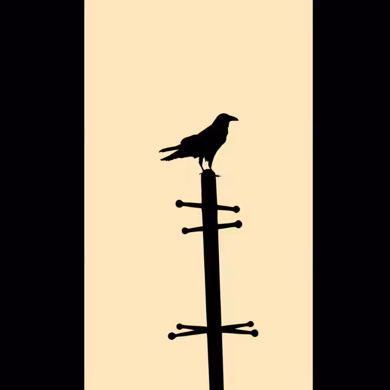Crow #6