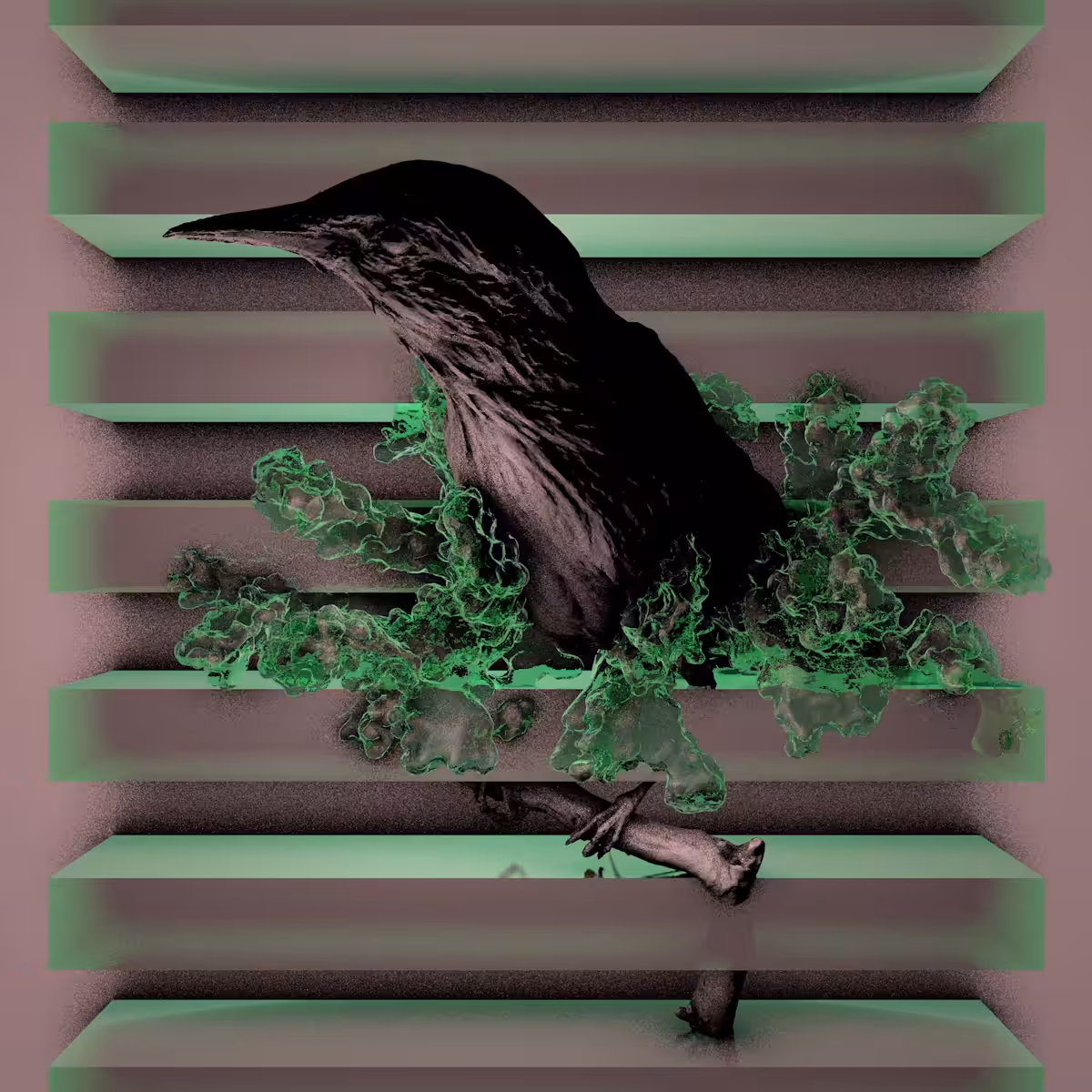 BEAK_____________________________________________.1