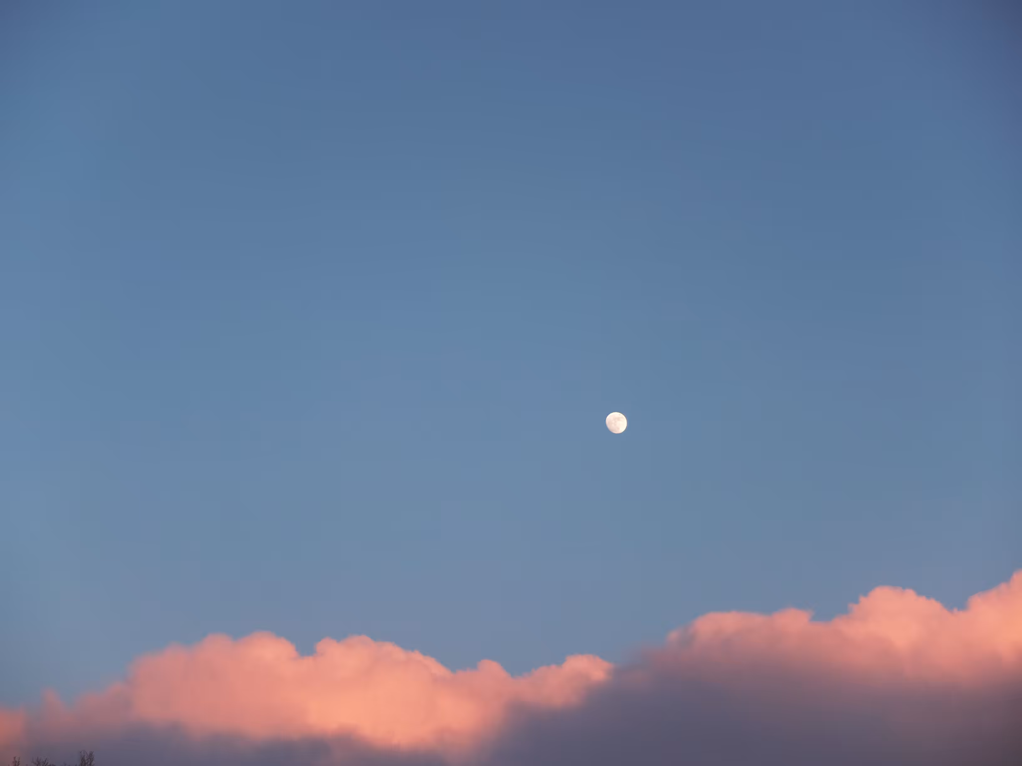 Moonshine