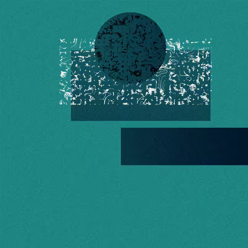 Linguistic #81