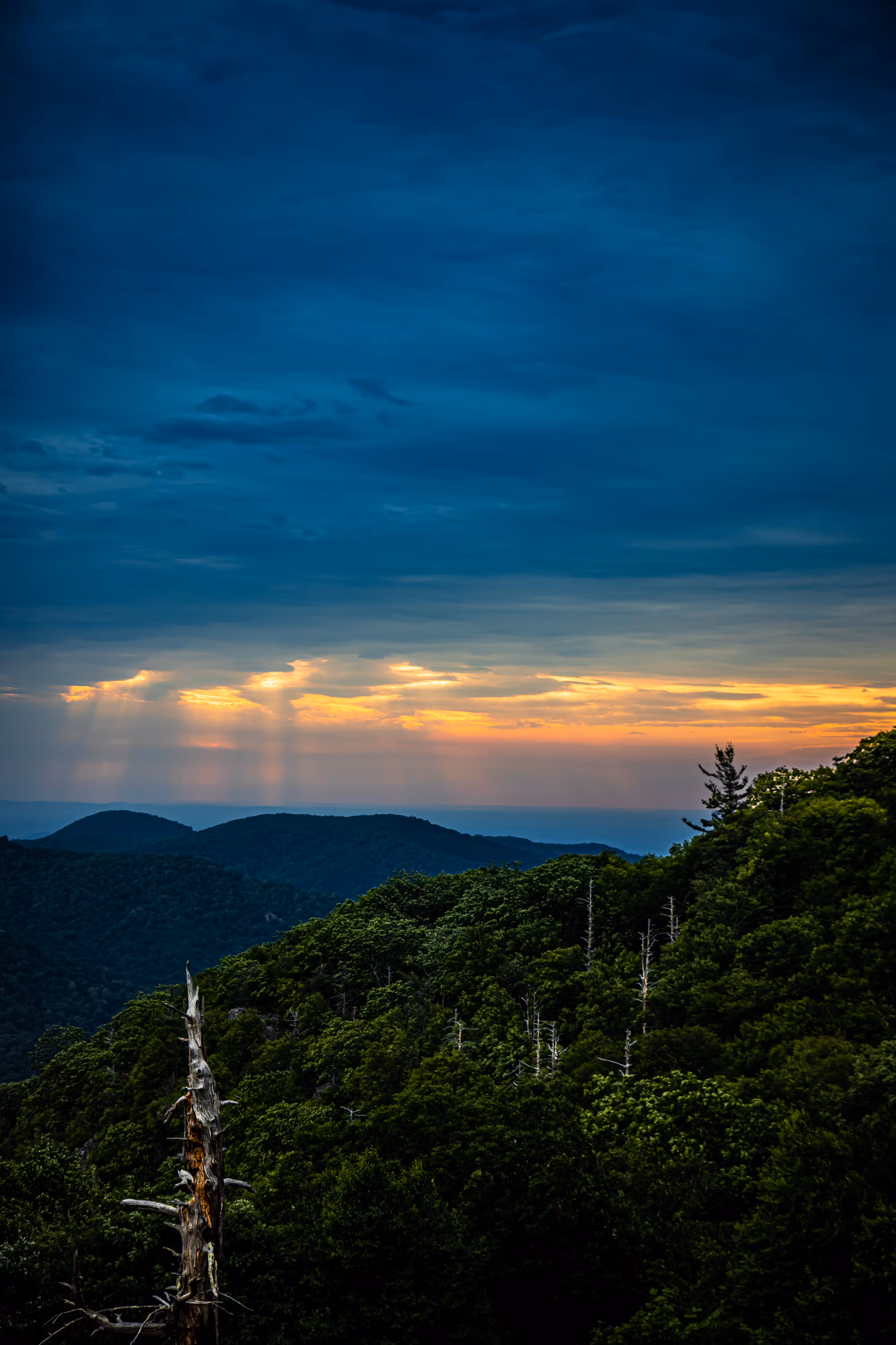 Scenes of Shenandoah #6
