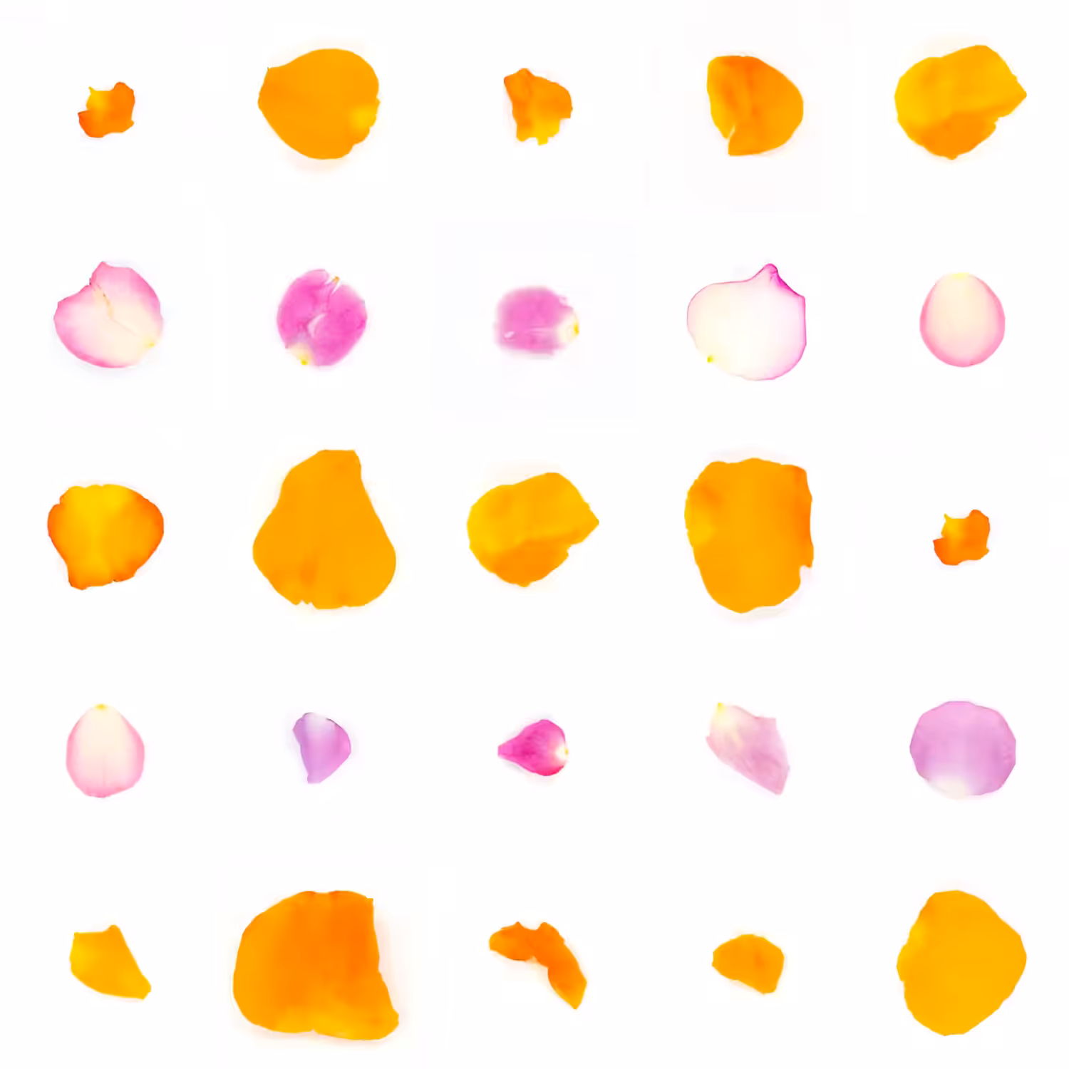 Infinite Petals 5x5#550