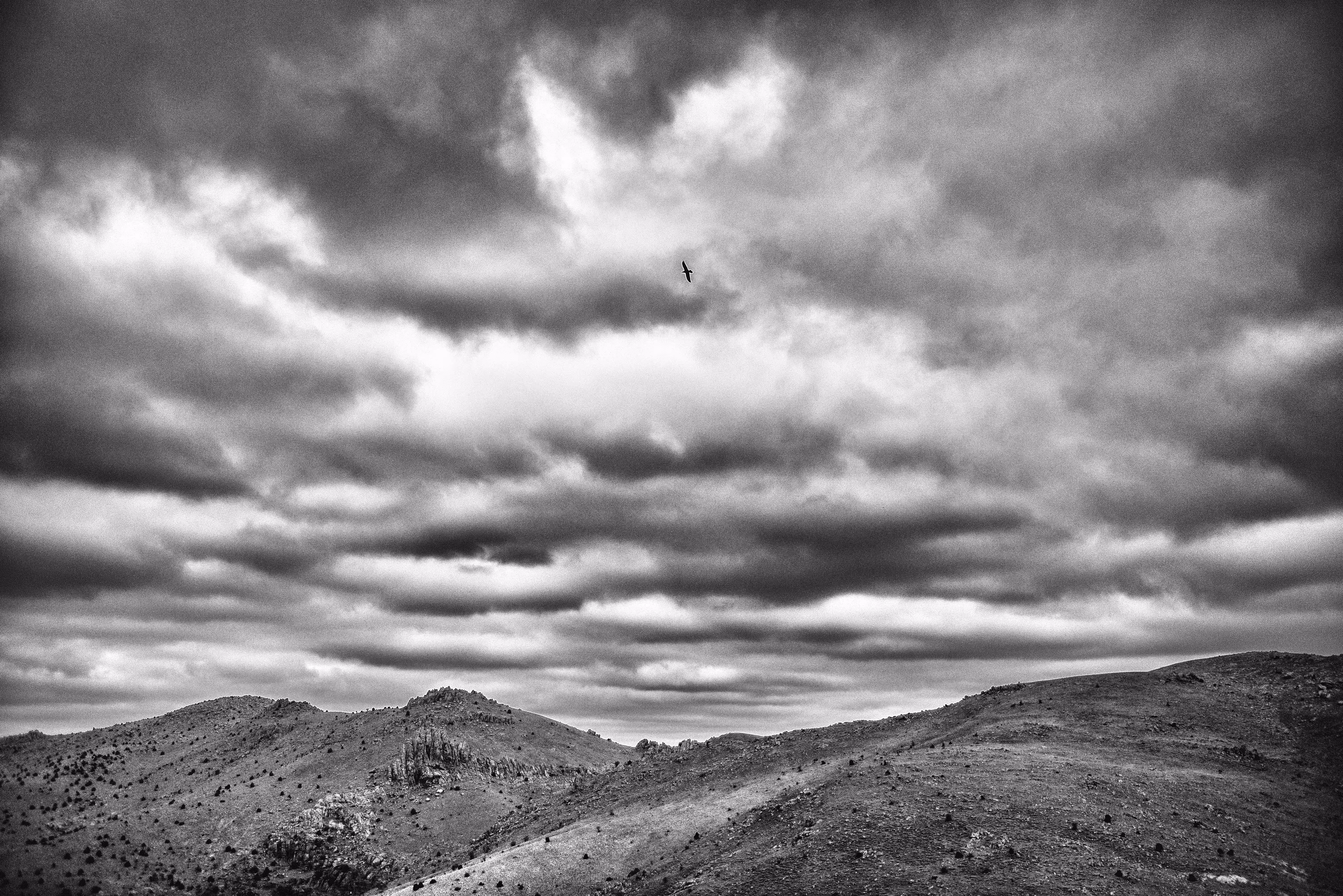 The Happy Valley: Ascent
