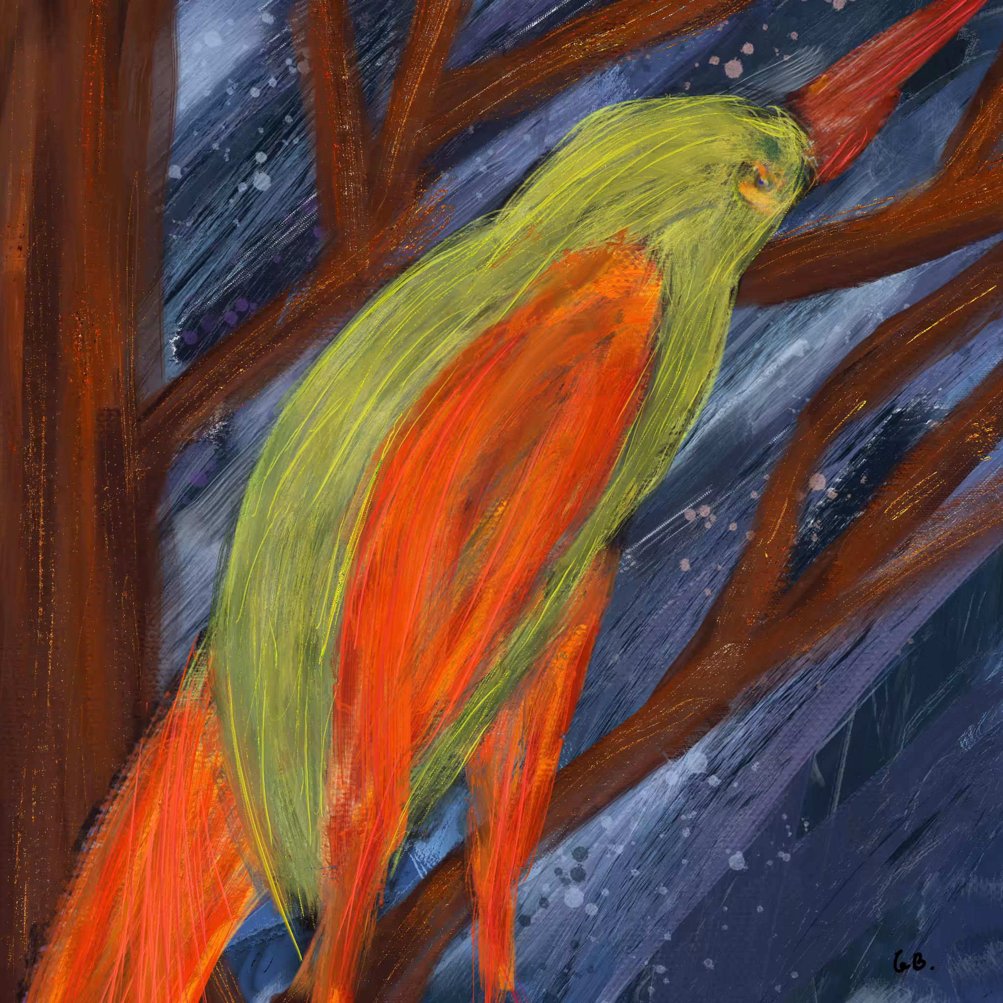 Winter wind