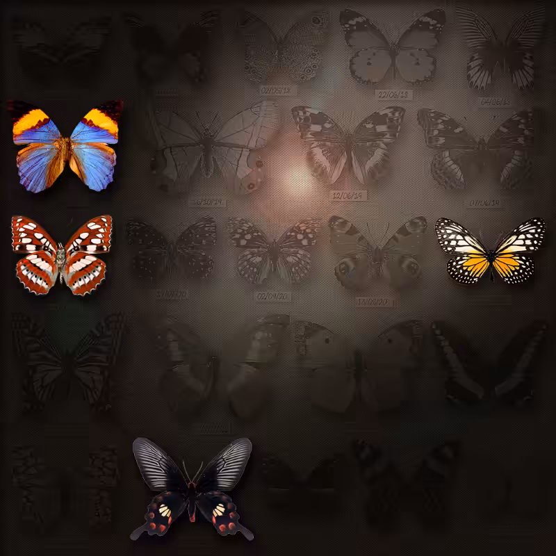 Save Butterfly World #1