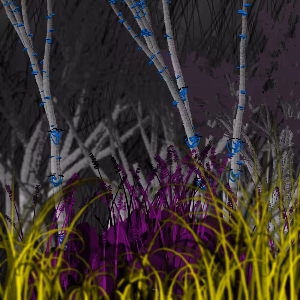 Nature's Vanity: Slideshow #13