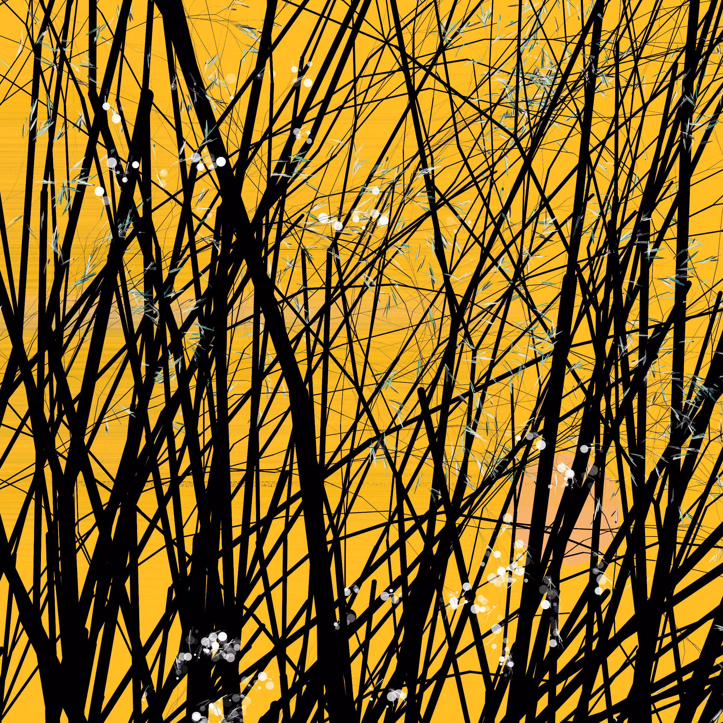 conversation with the wind #797