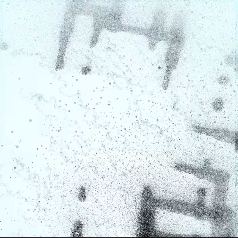 Methods of Dispersal #27