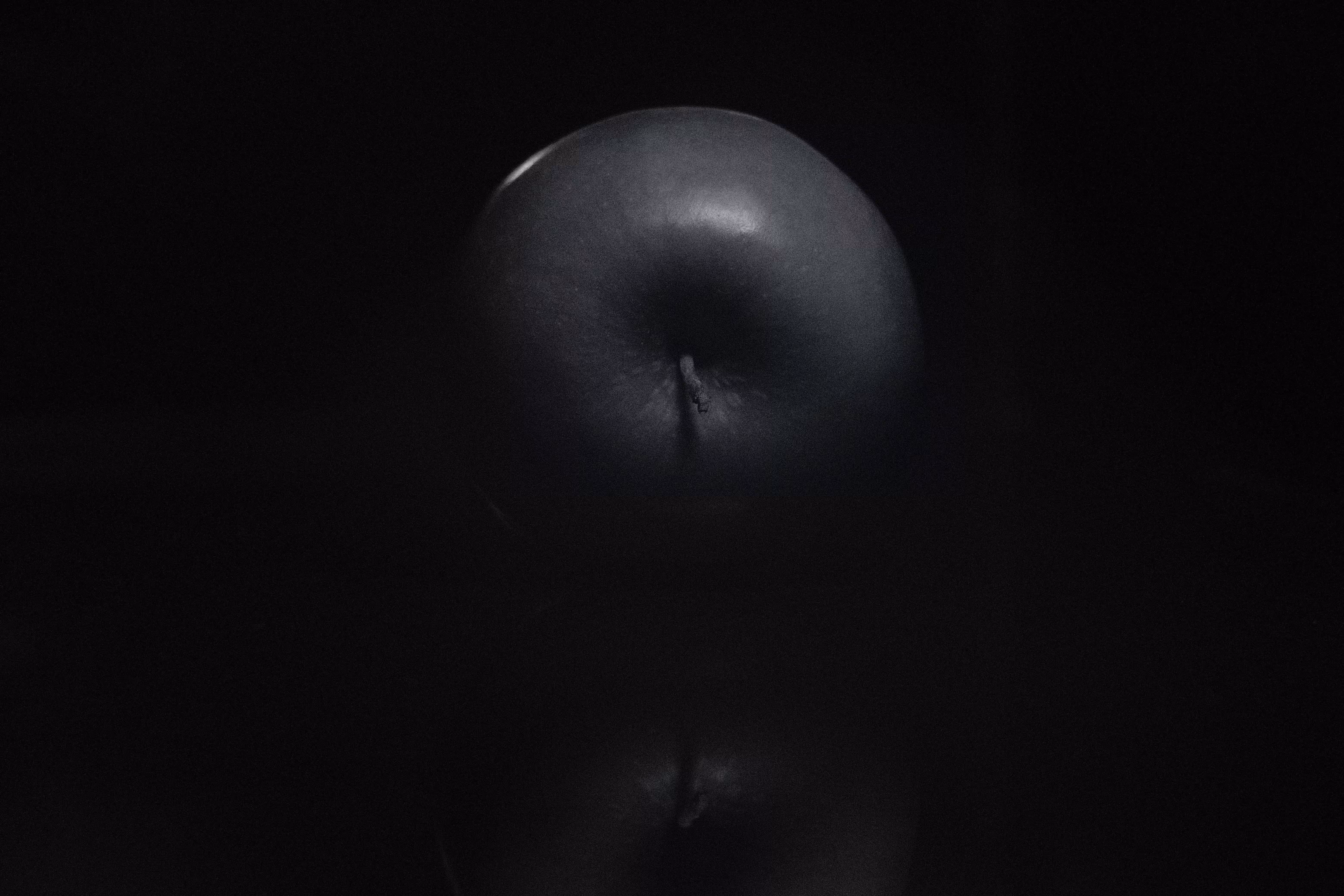 Photographer's DNA - #19
