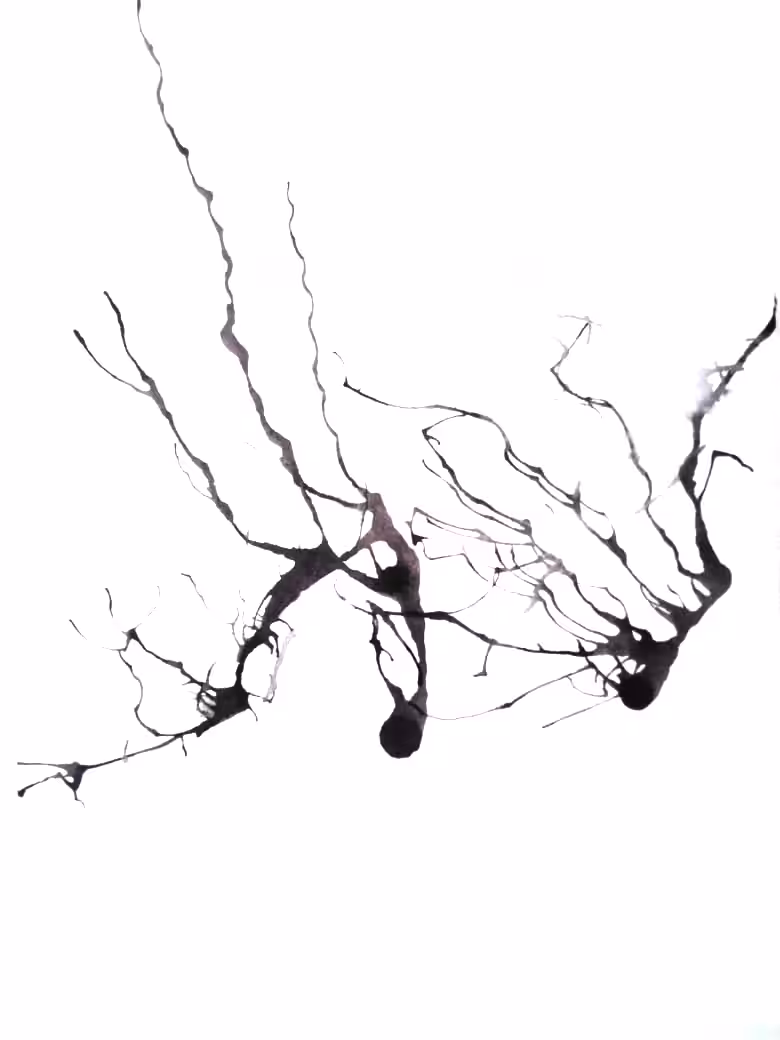 Dark Trails #15