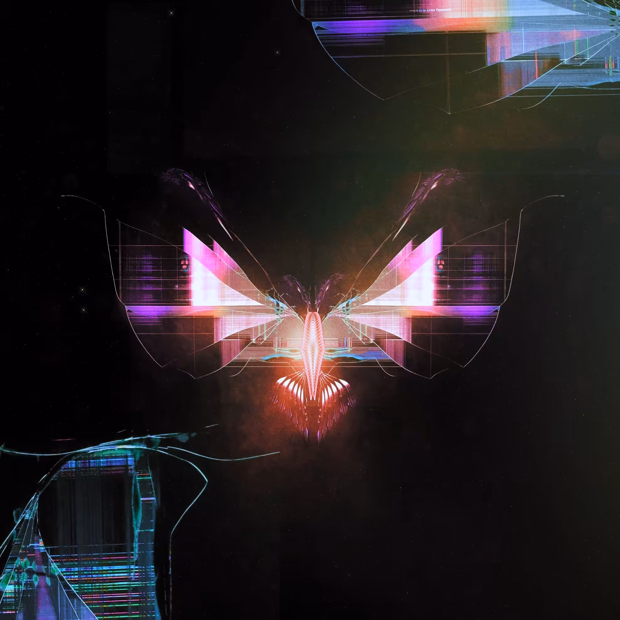 glitchéfly 03 // seeker