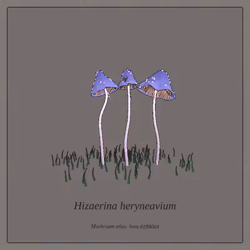 Mushroom Atlas #21