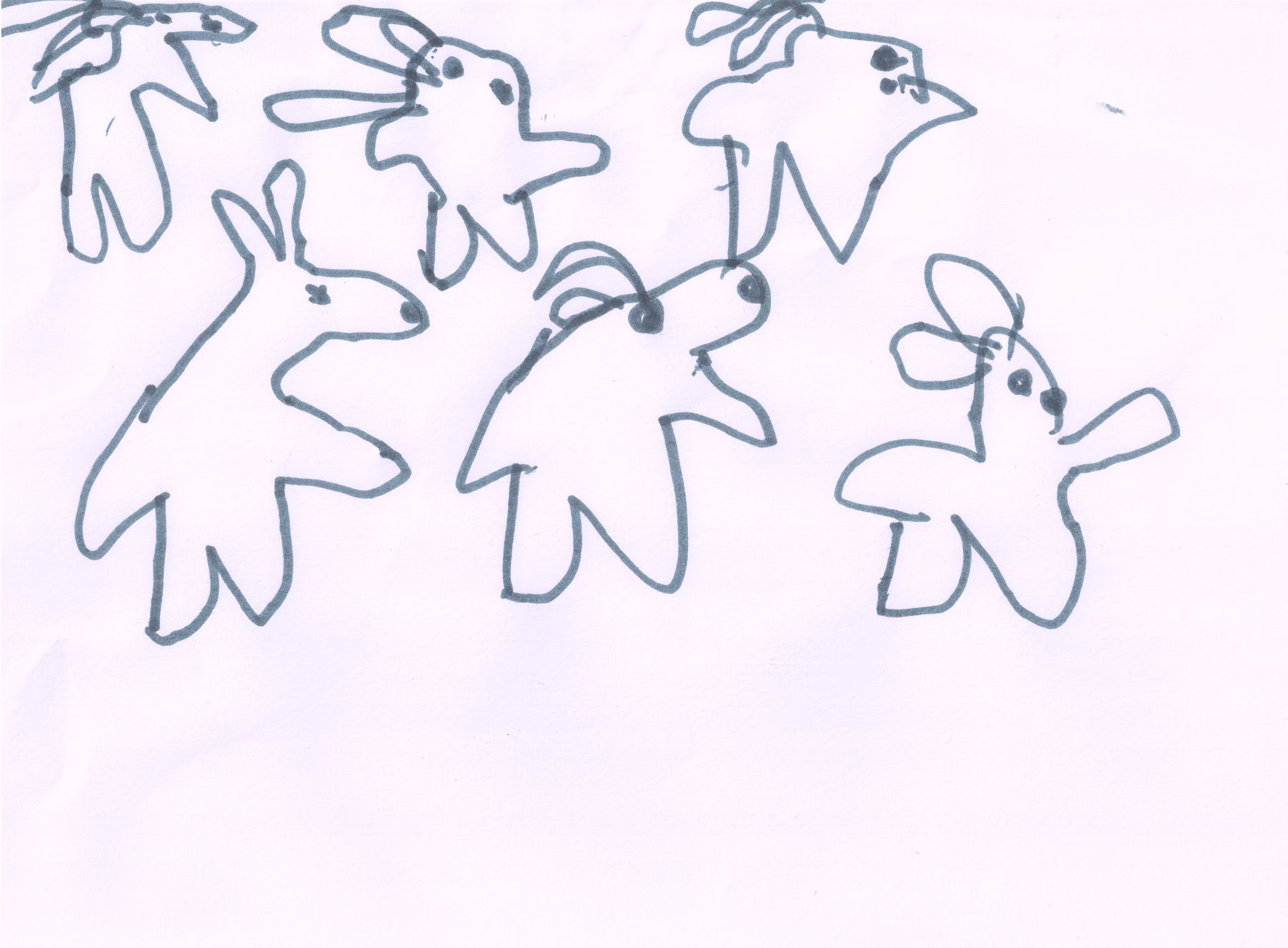 Conigli (Rabbits)