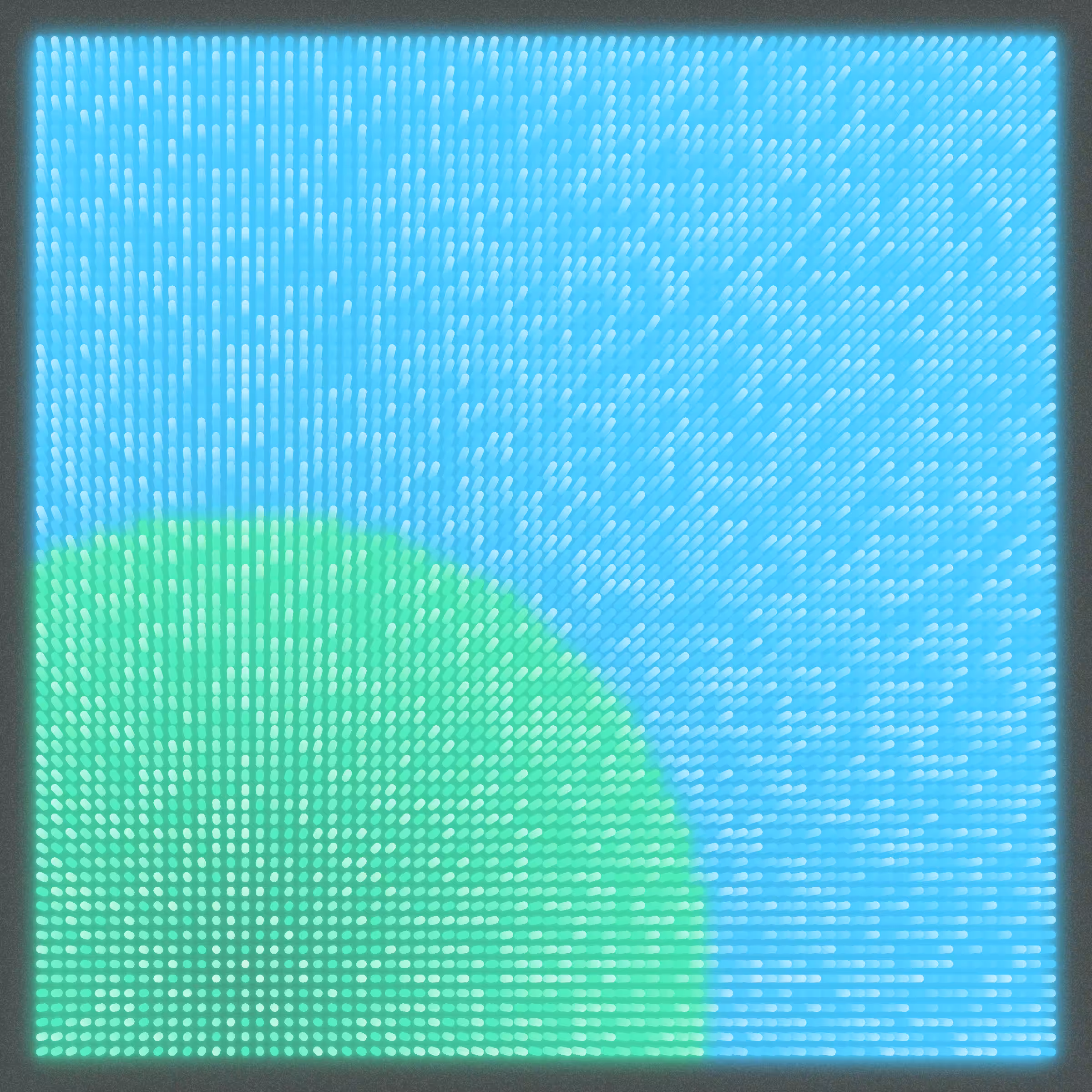 Bright #338