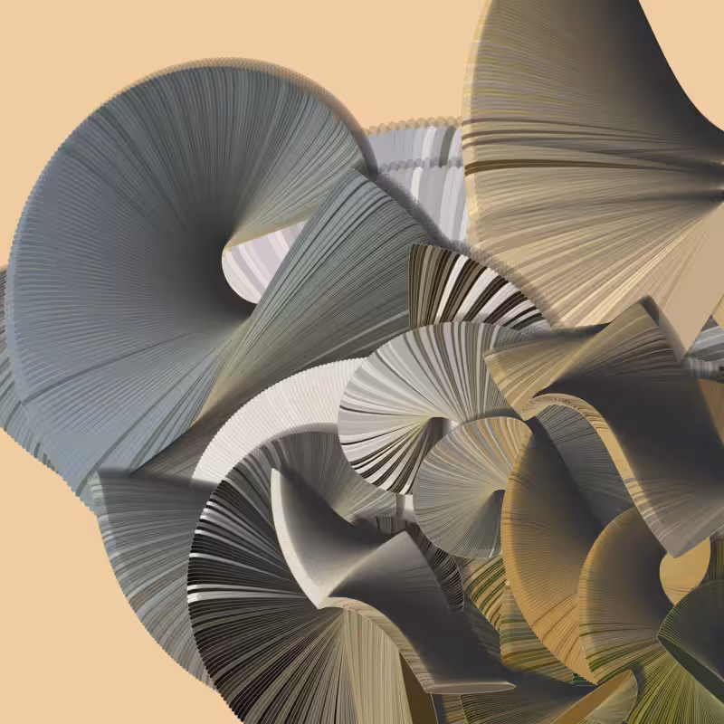 Seashells #138