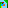 The parrots are coming