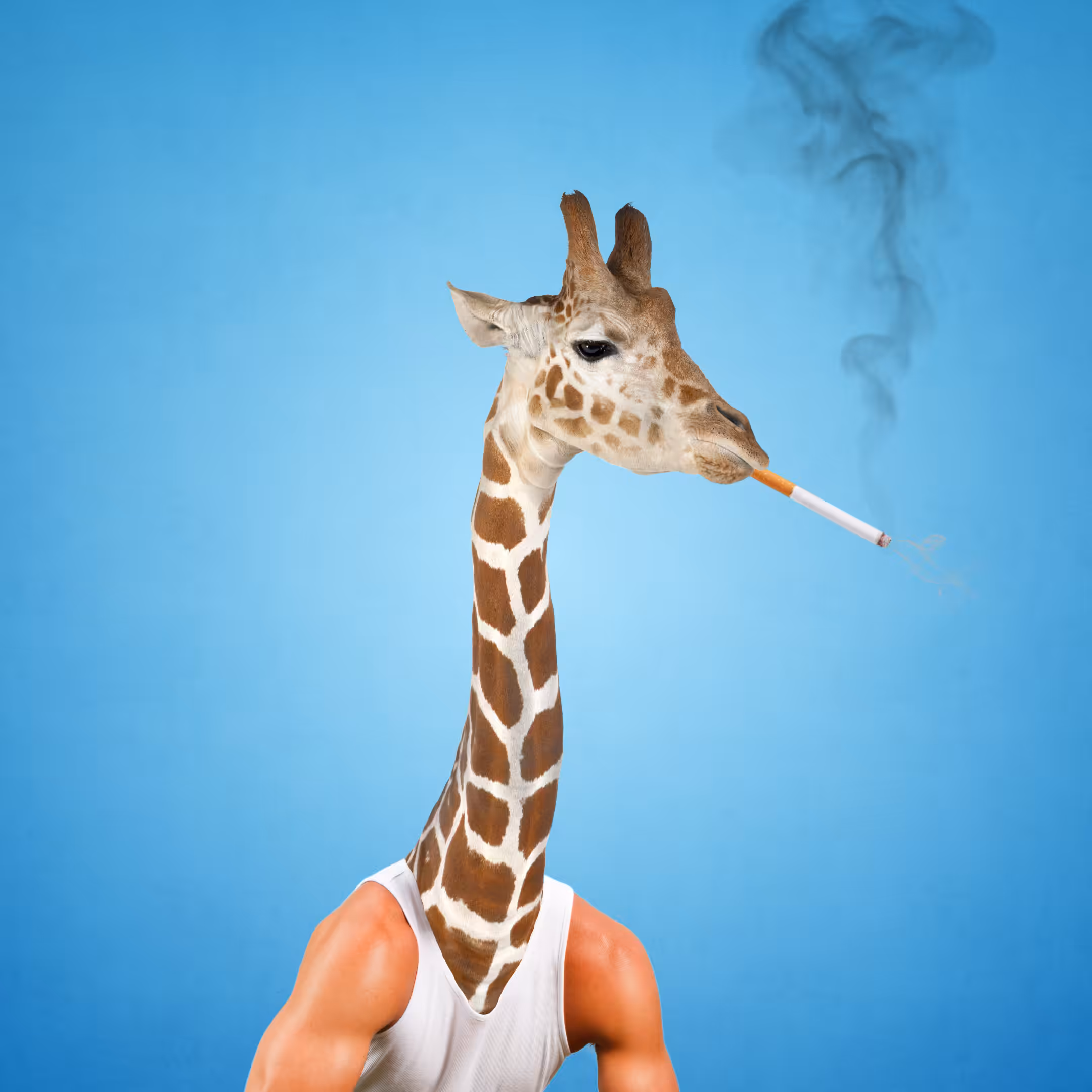 Giraffe Gang #1